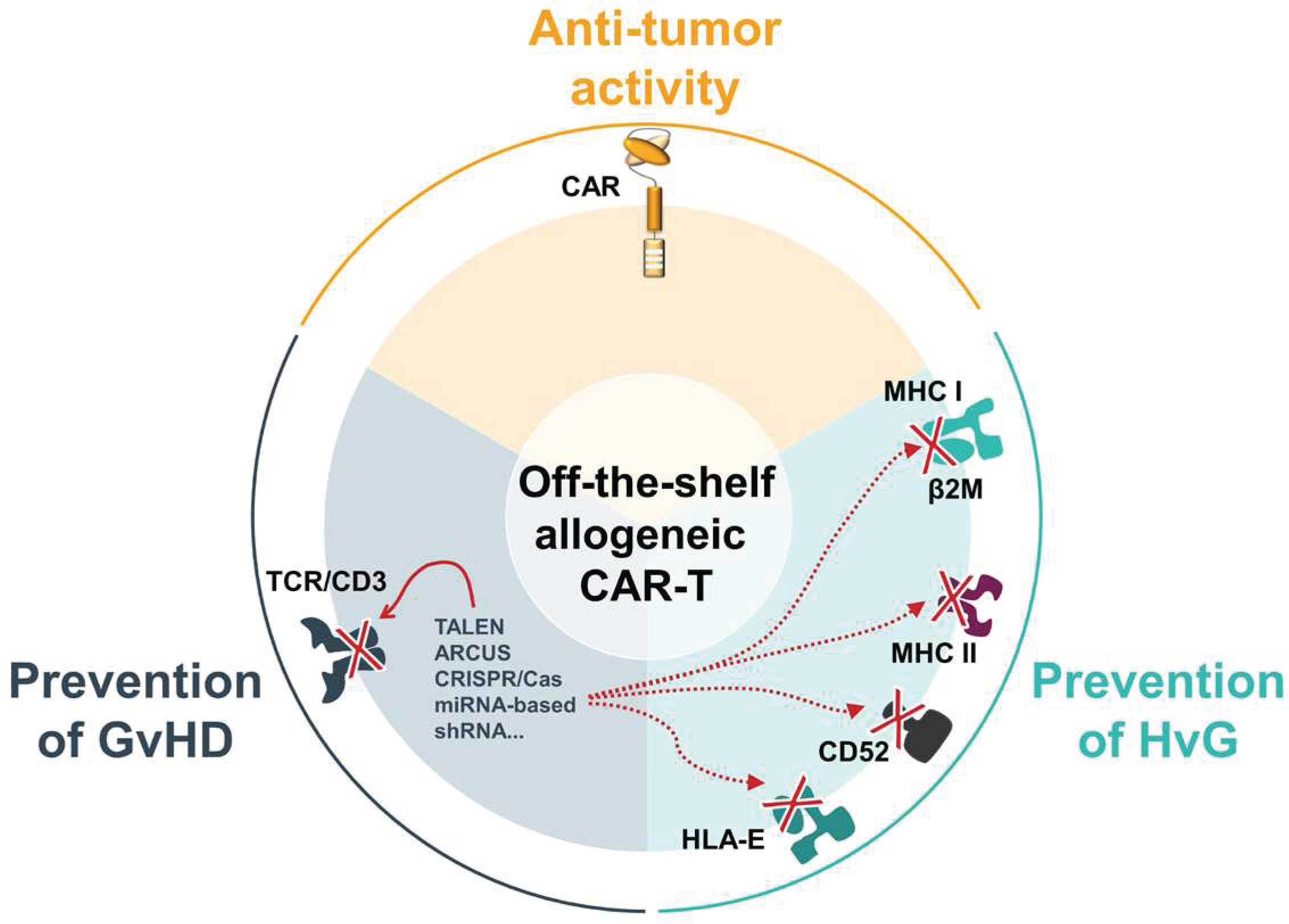 Preprints 91885 g002