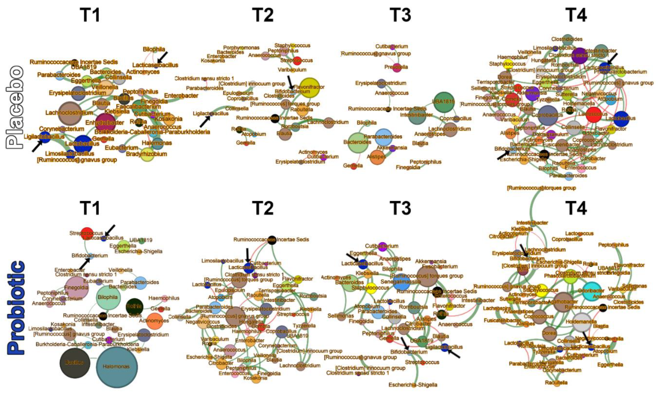 Preprints 153975 g006