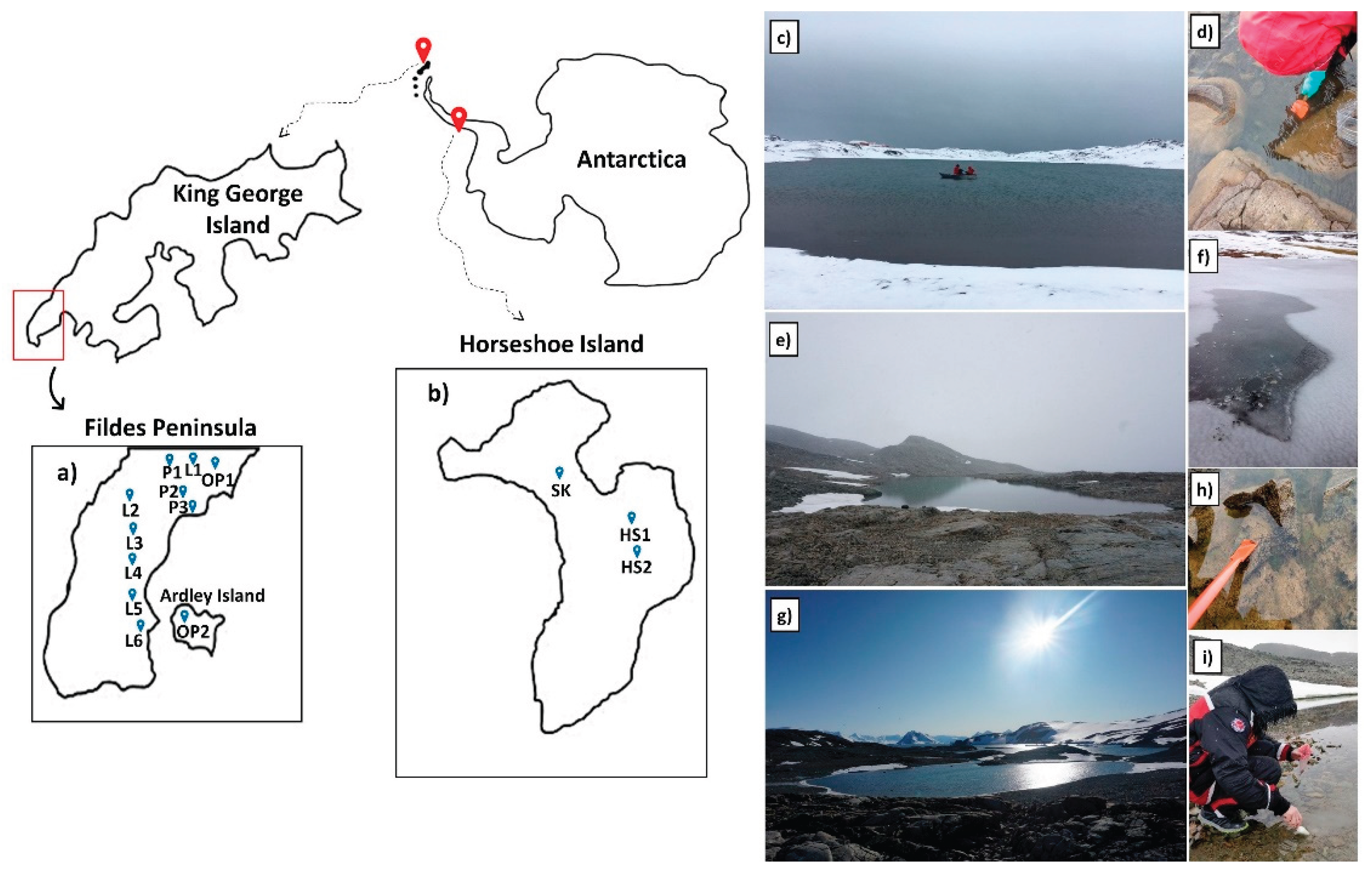 Preprints 190194 g001