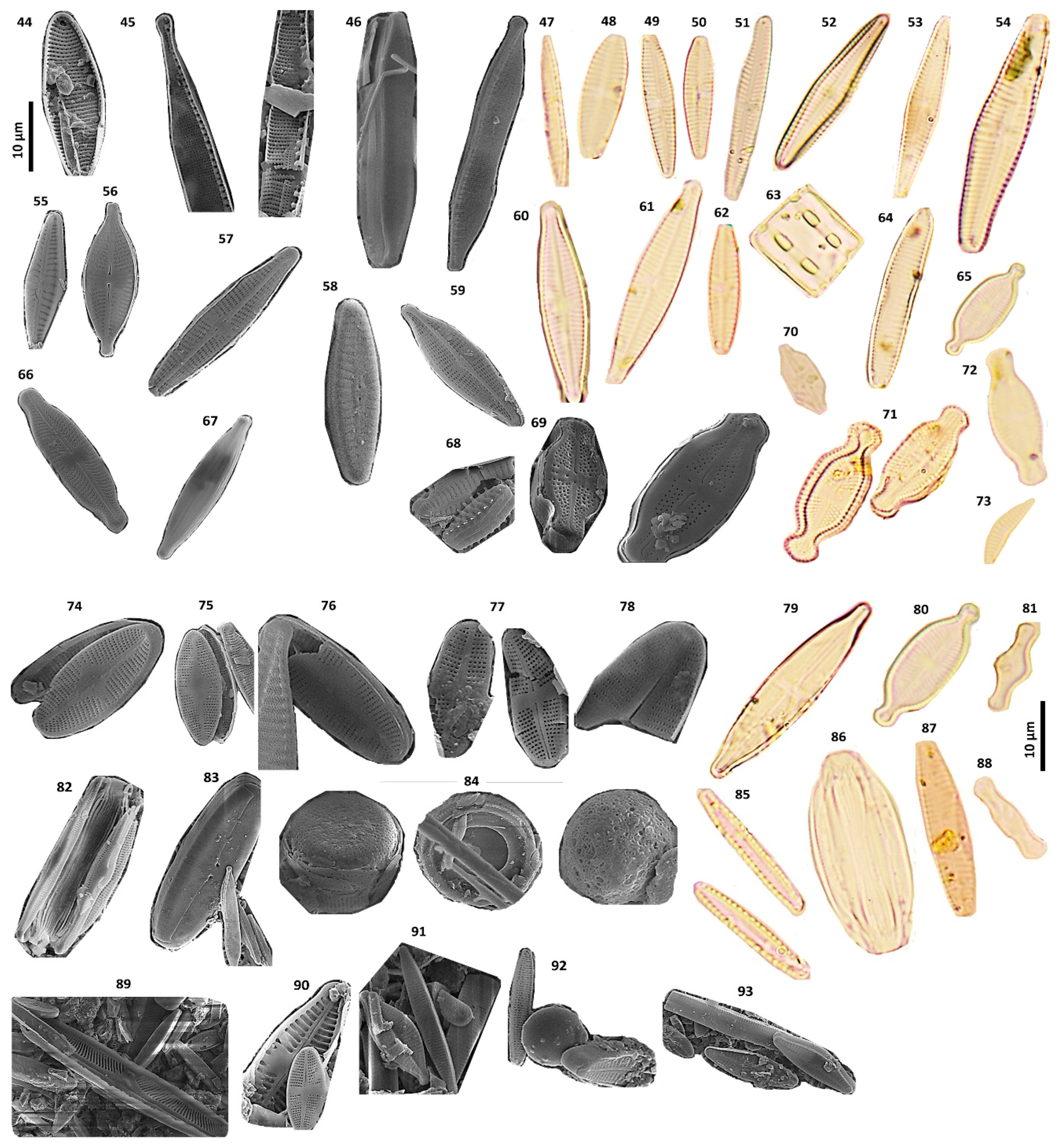 Preprints 190194 g004