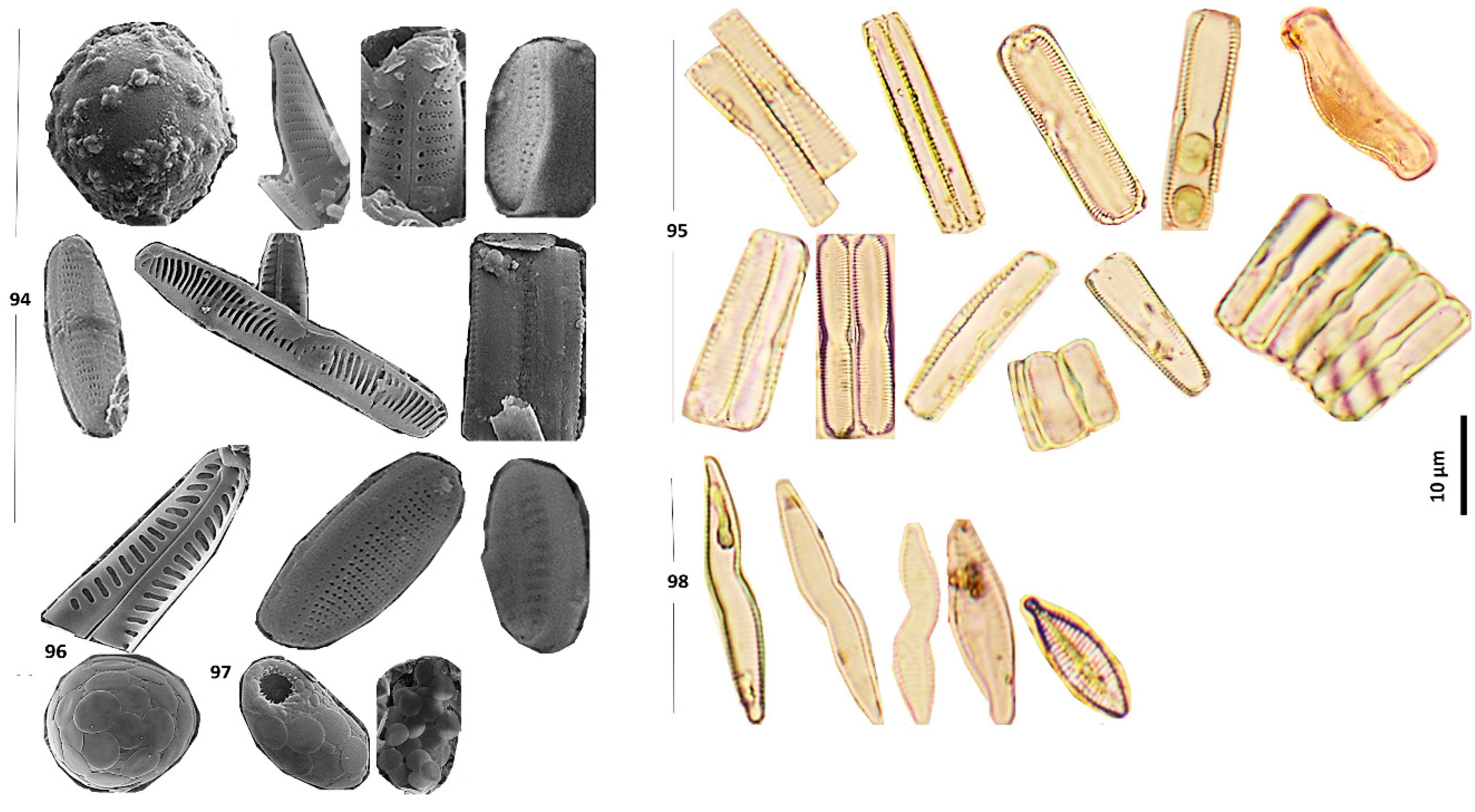 Preprints 190194 g005
