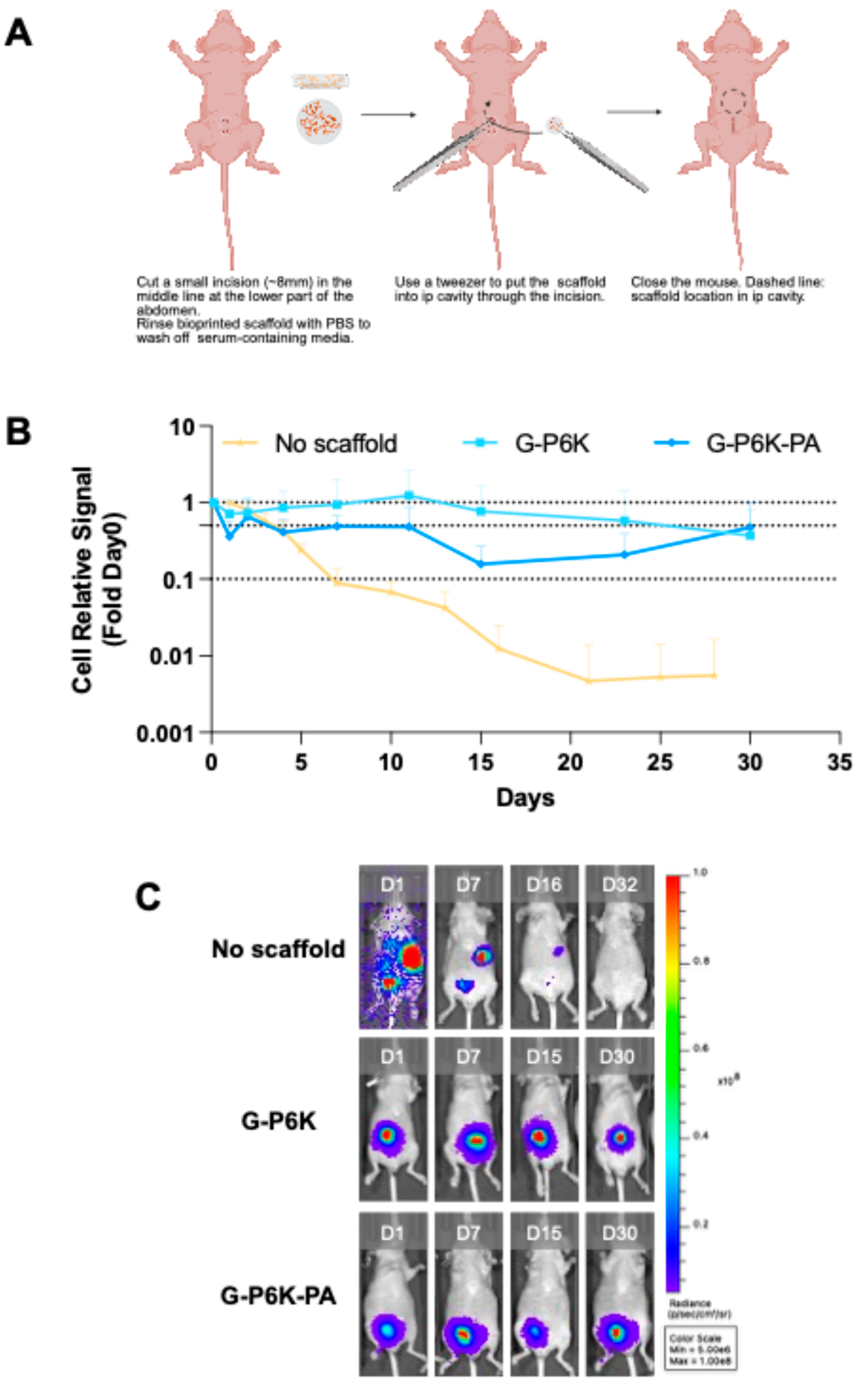 Preprints 201820 g004