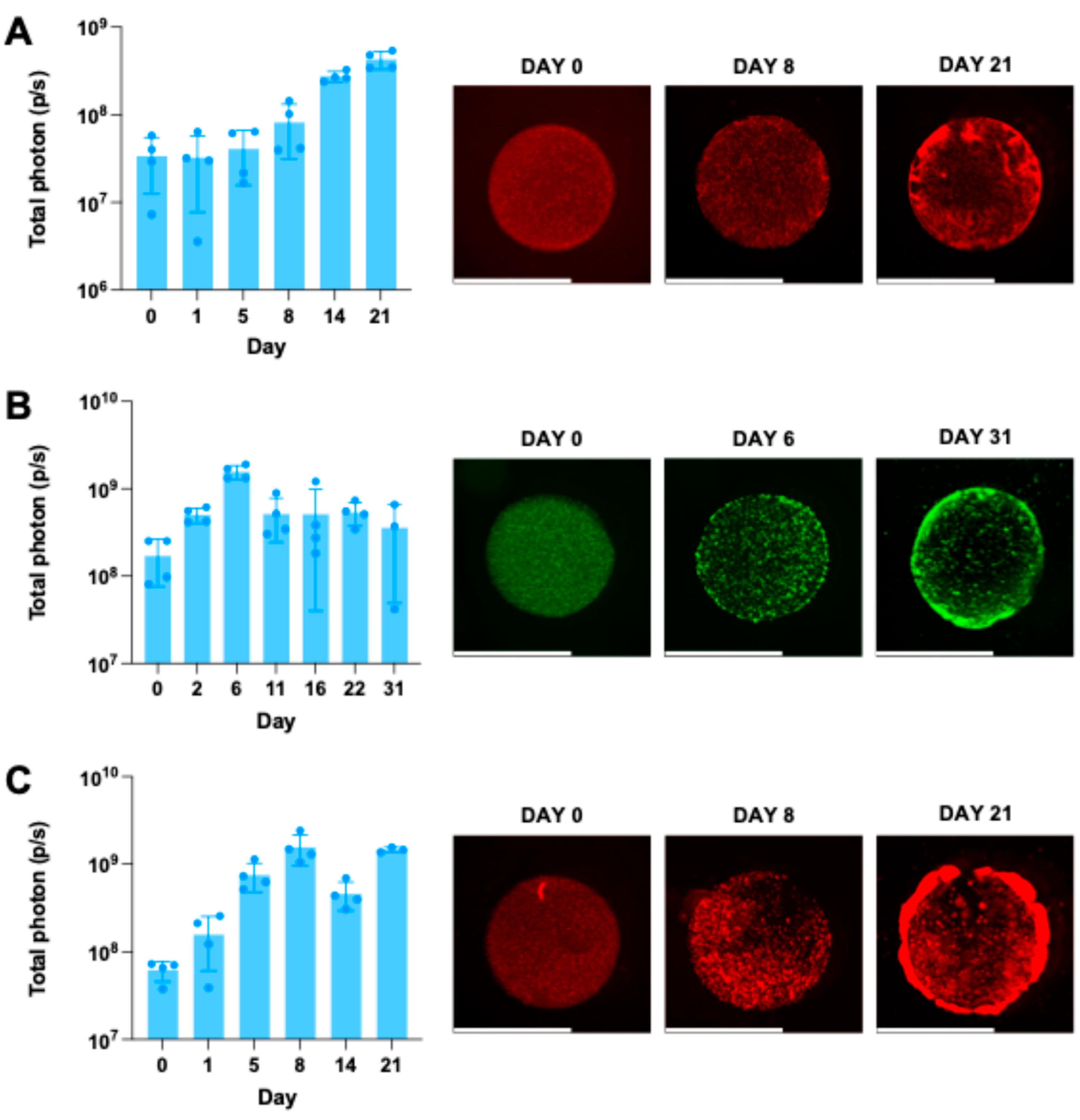 Preprints 201820 g007