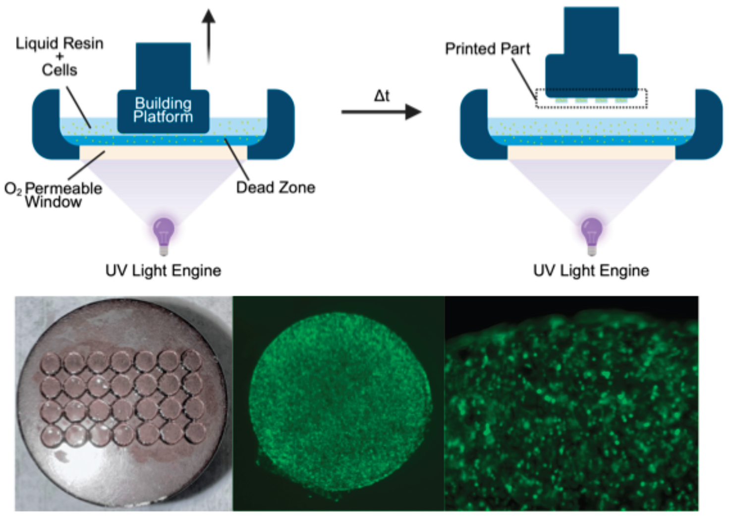 Preprints 201820 i001