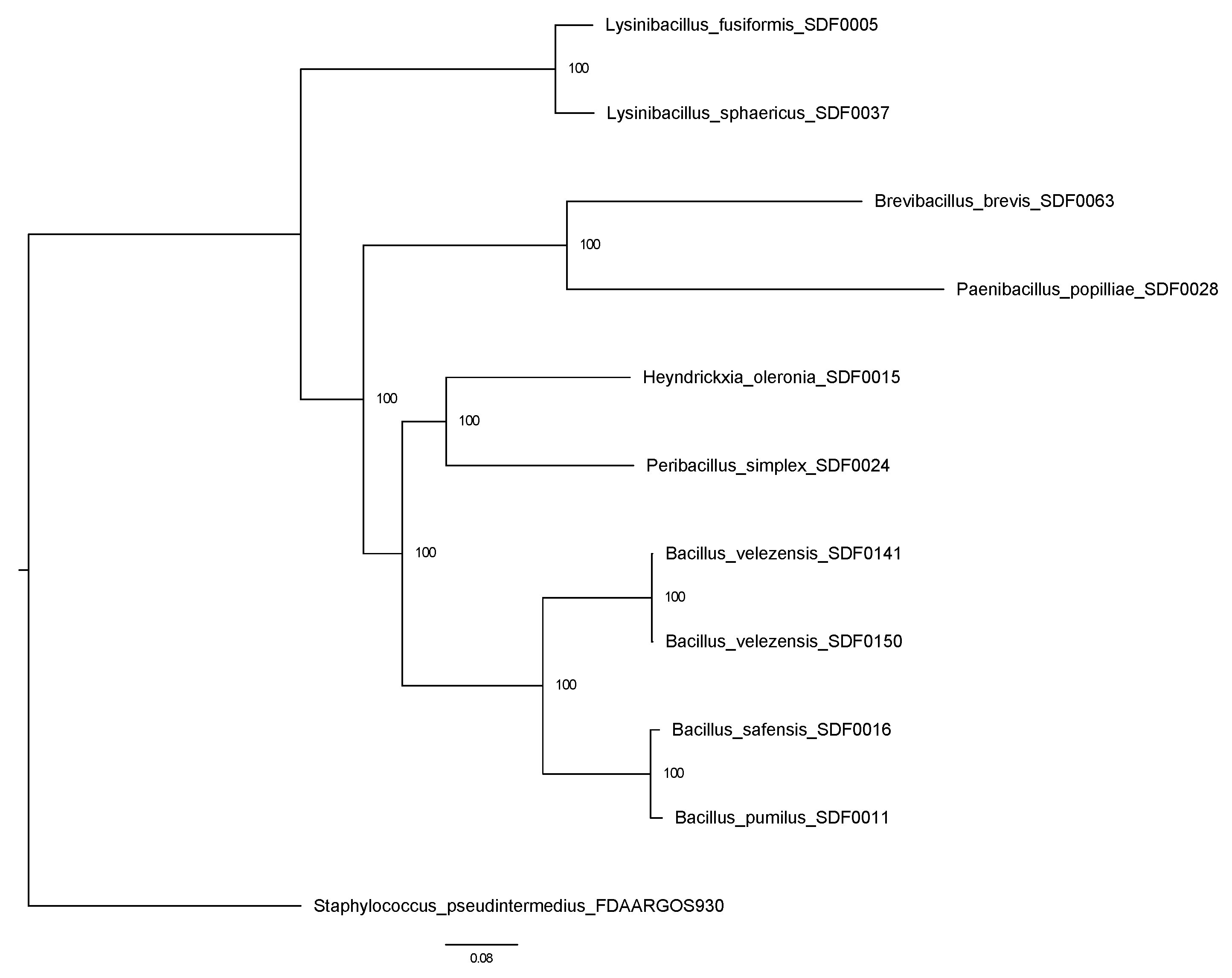 Preprints 151686 g001