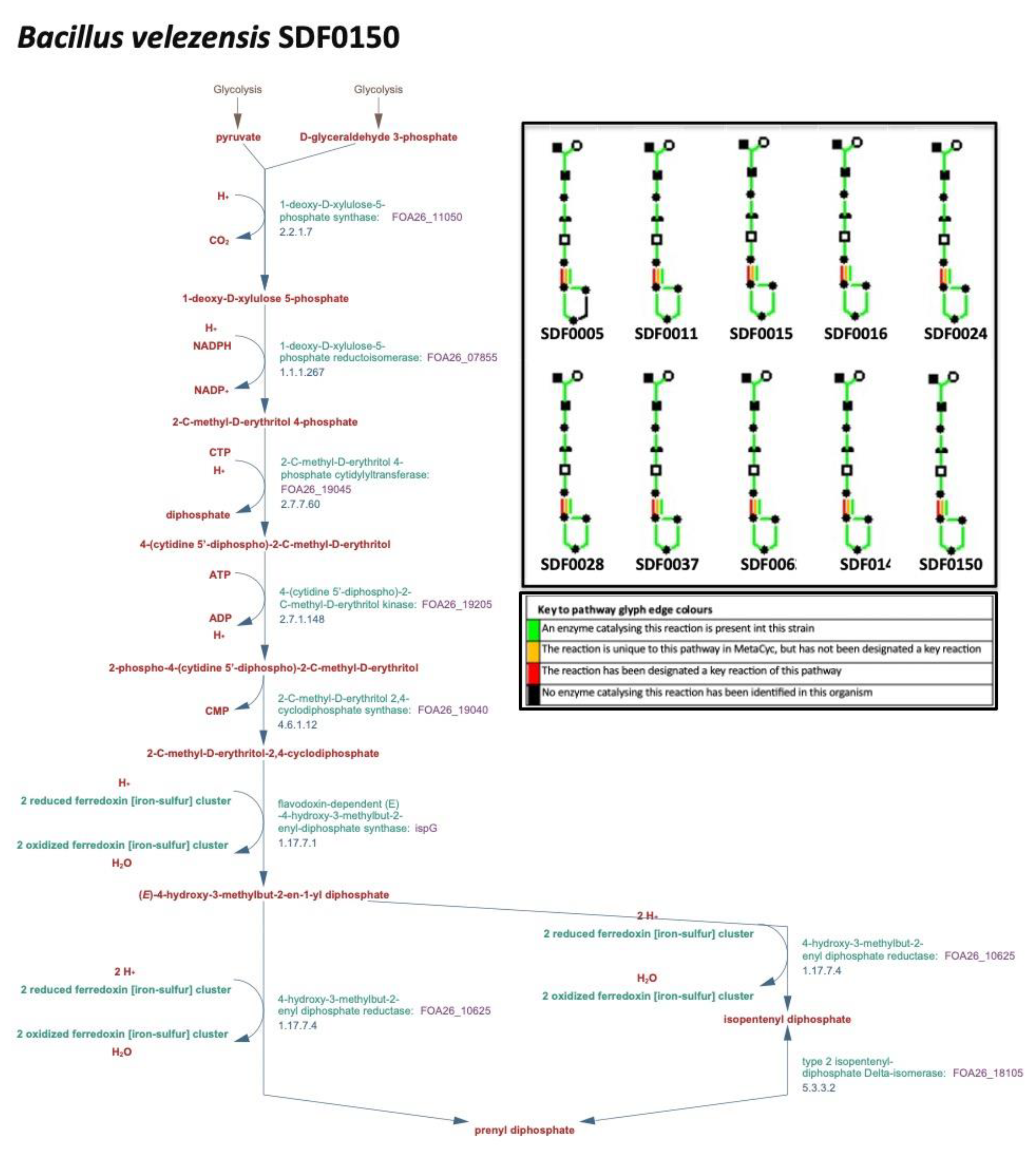 Preprints 151686 g002