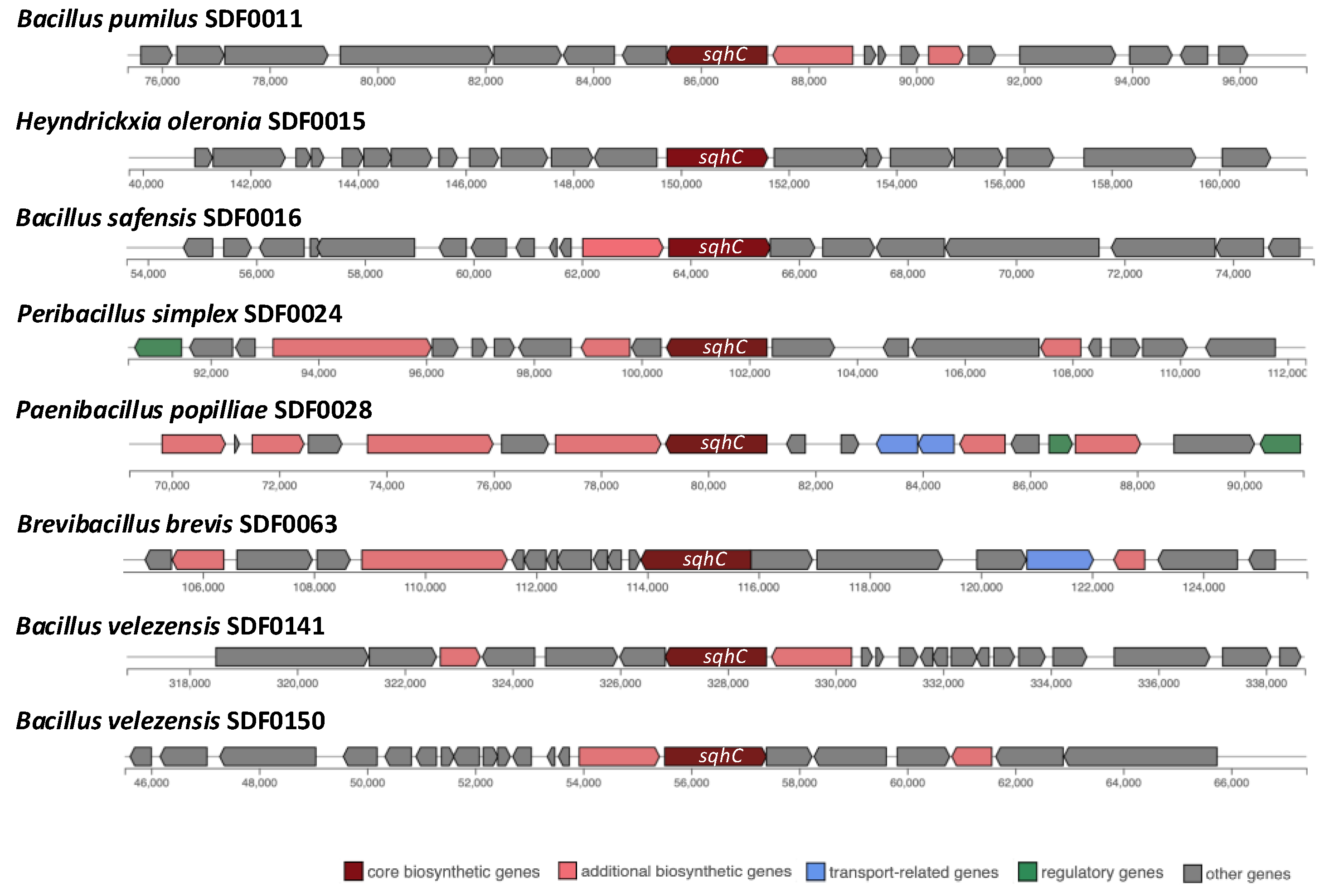 Preprints 151686 g003