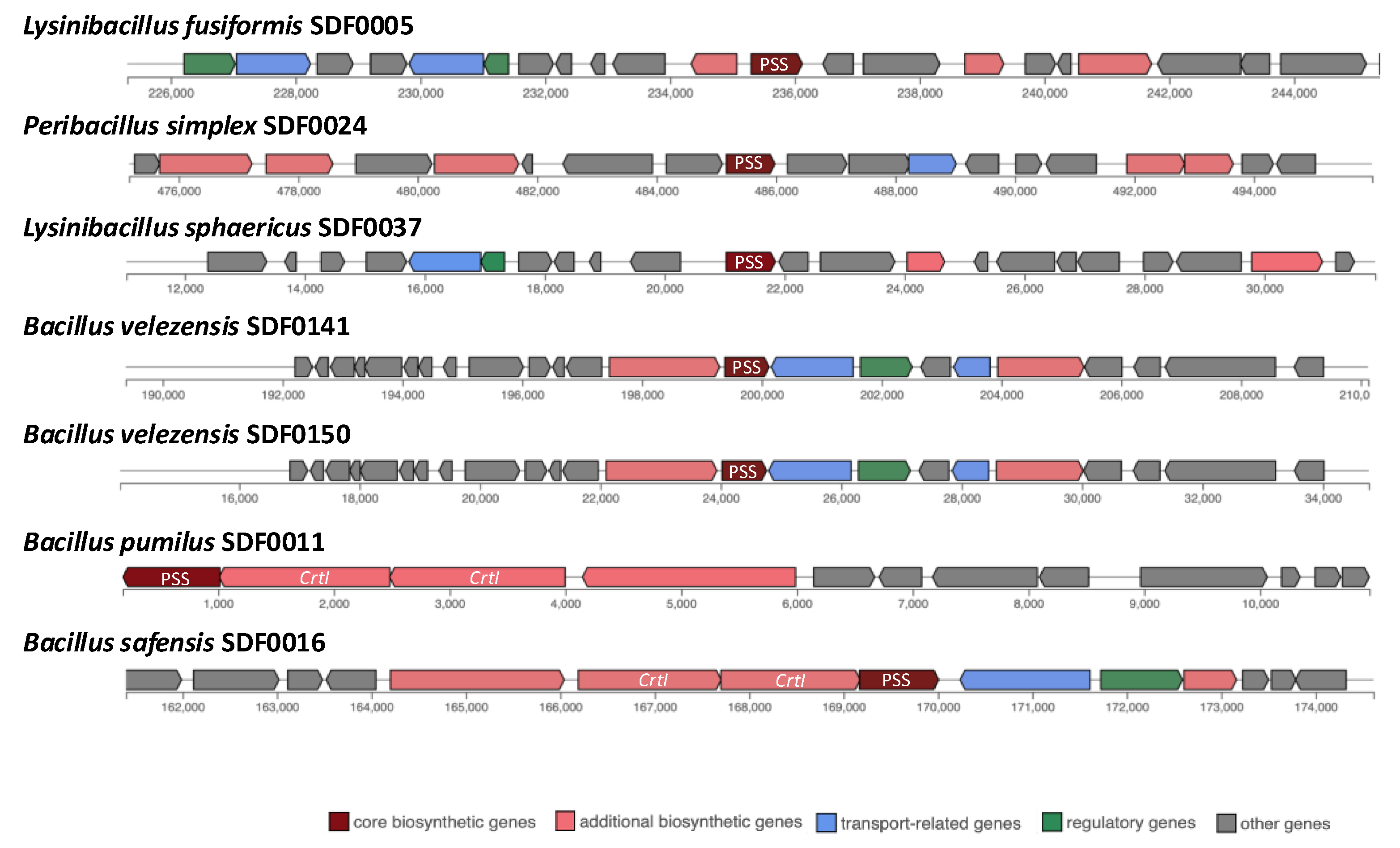 Preprints 151686 g004