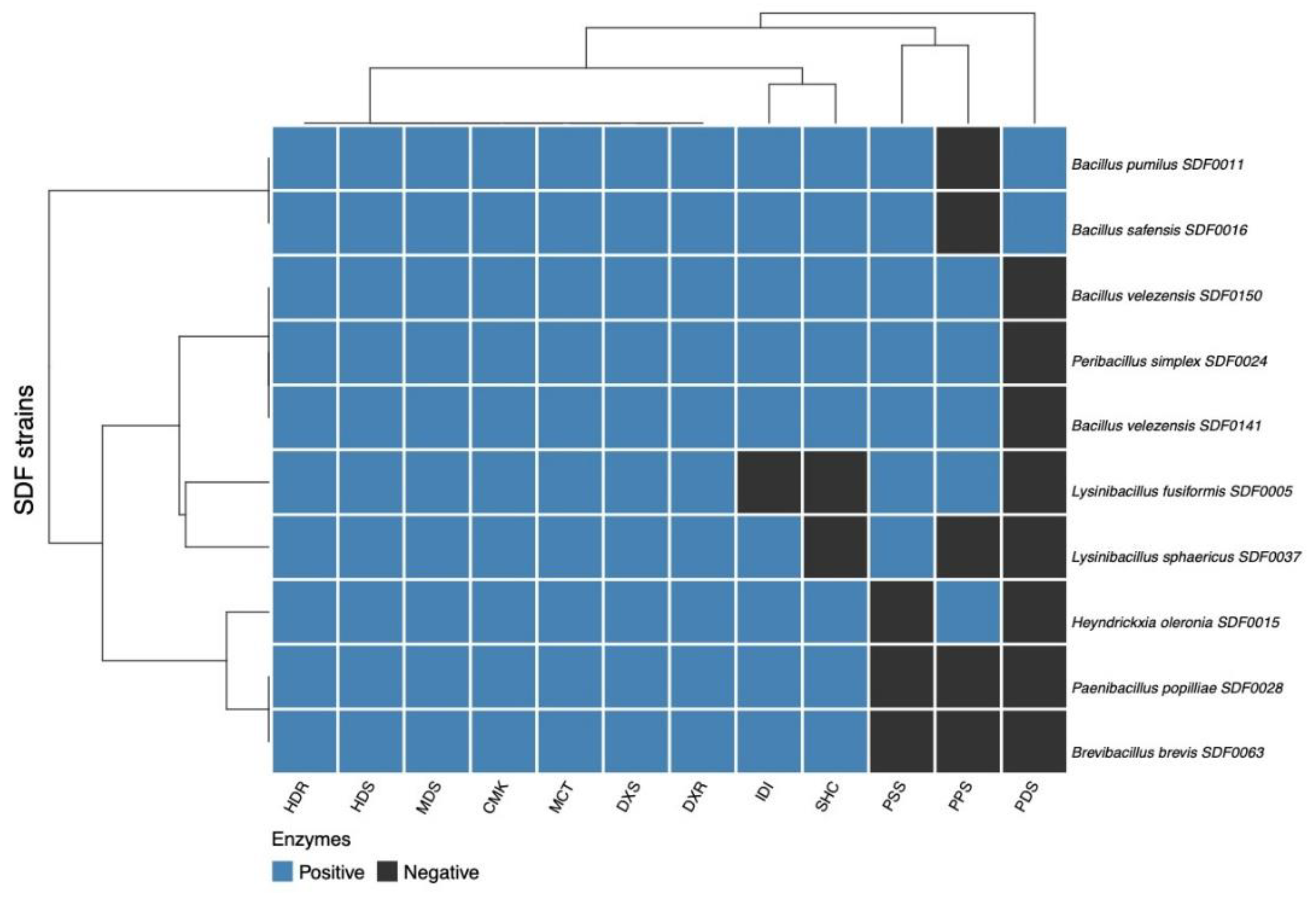 Preprints 151686 g005