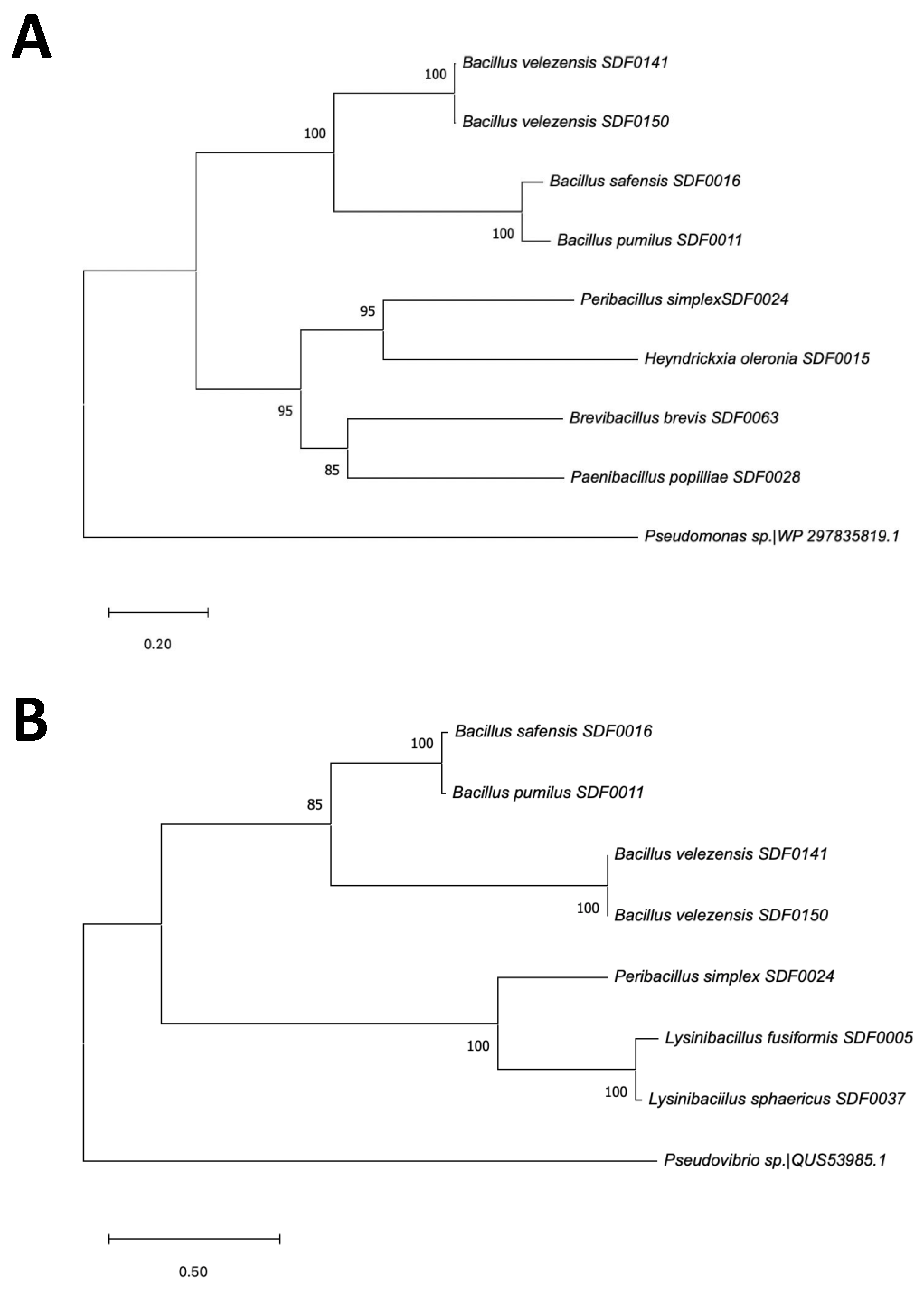Preprints 151686 g006
