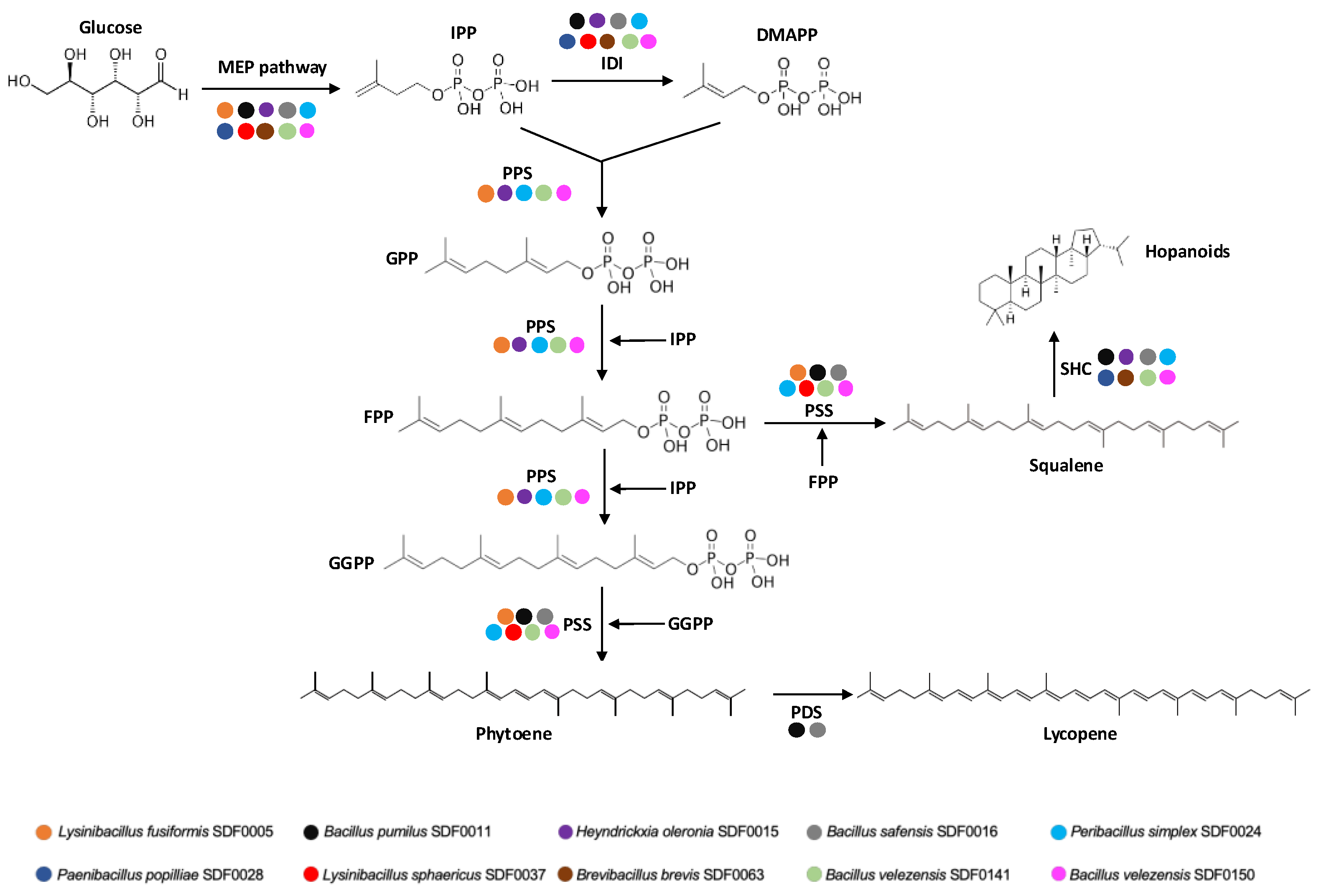 Preprints 151686 g007