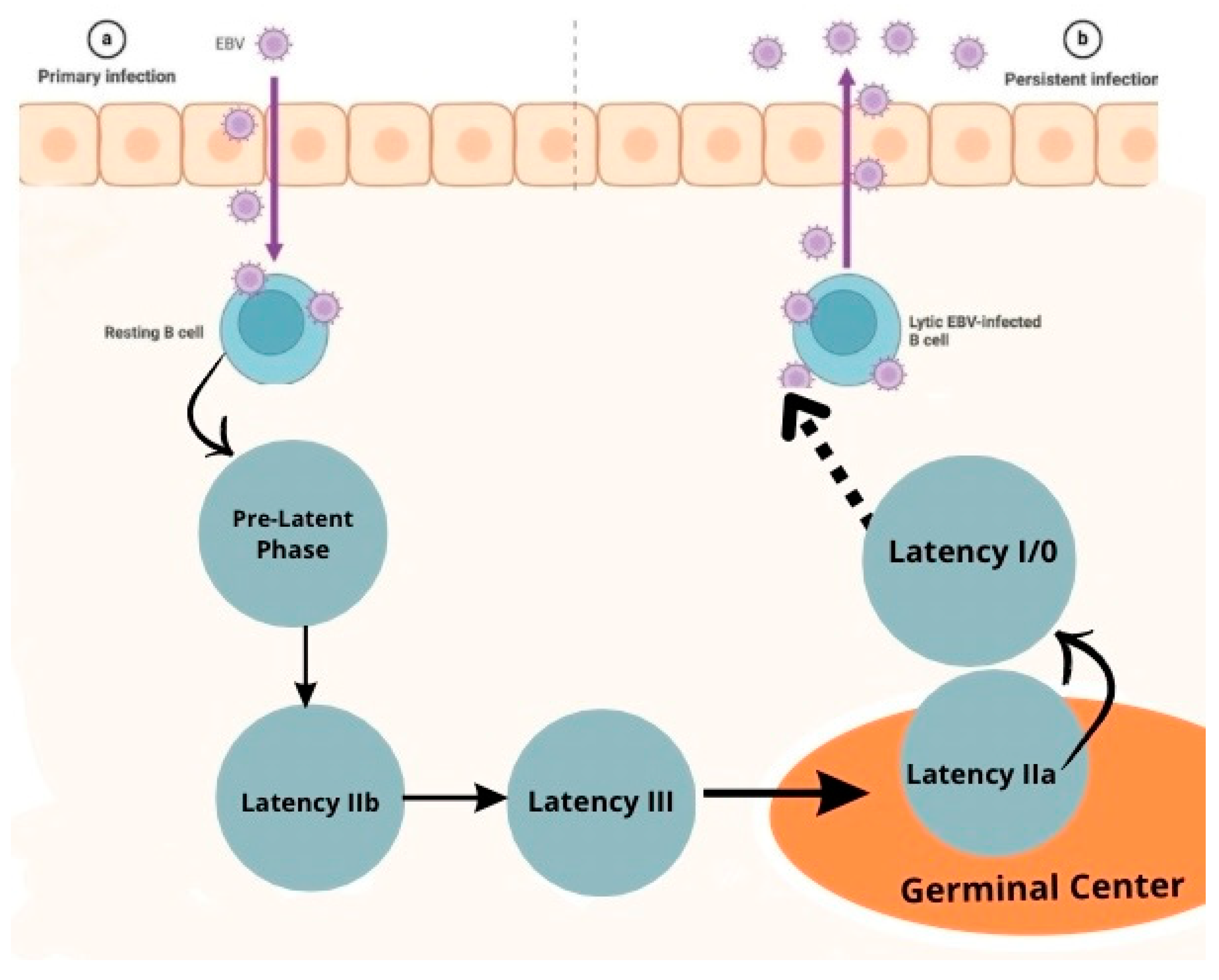 Preprints 144077 g001