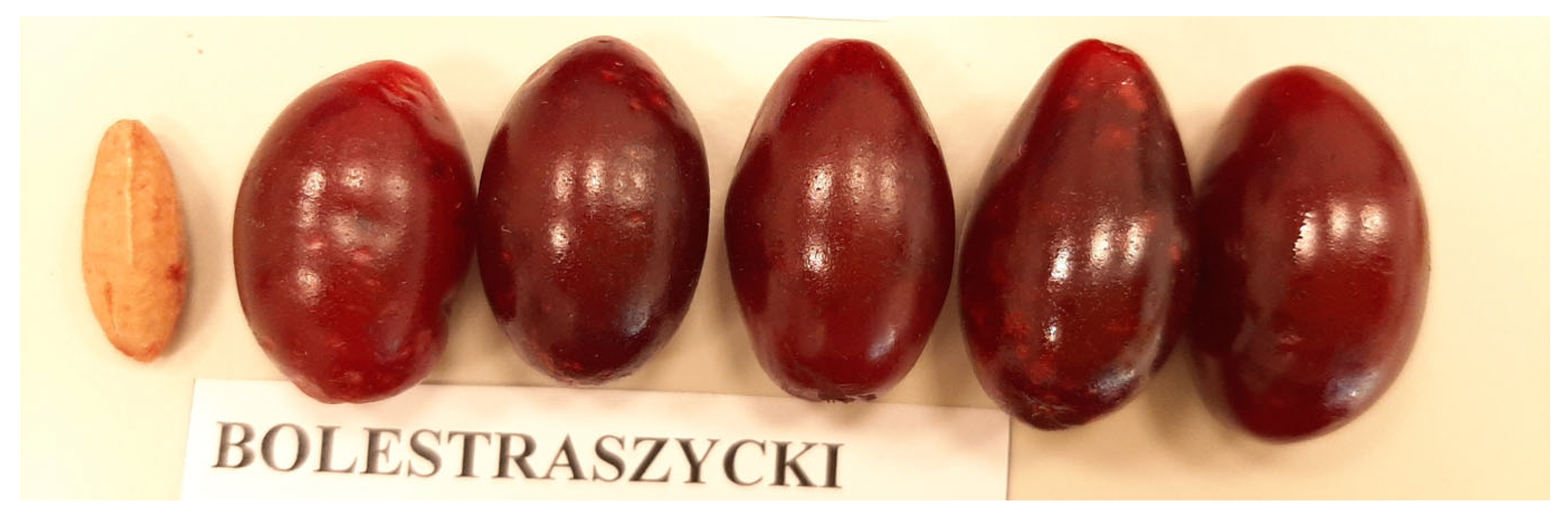 Preprints 178749 g003a