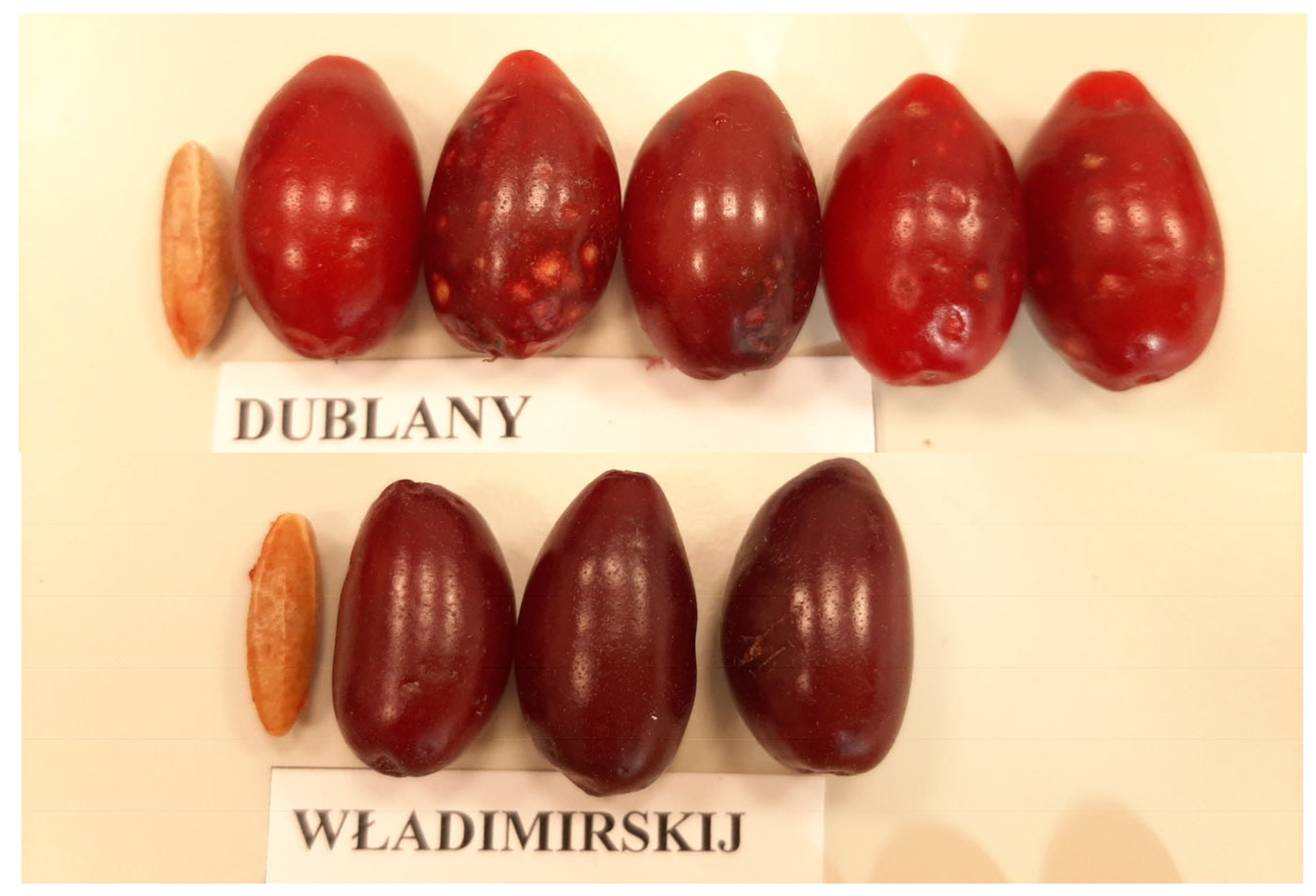 Preprints 178749 g003b