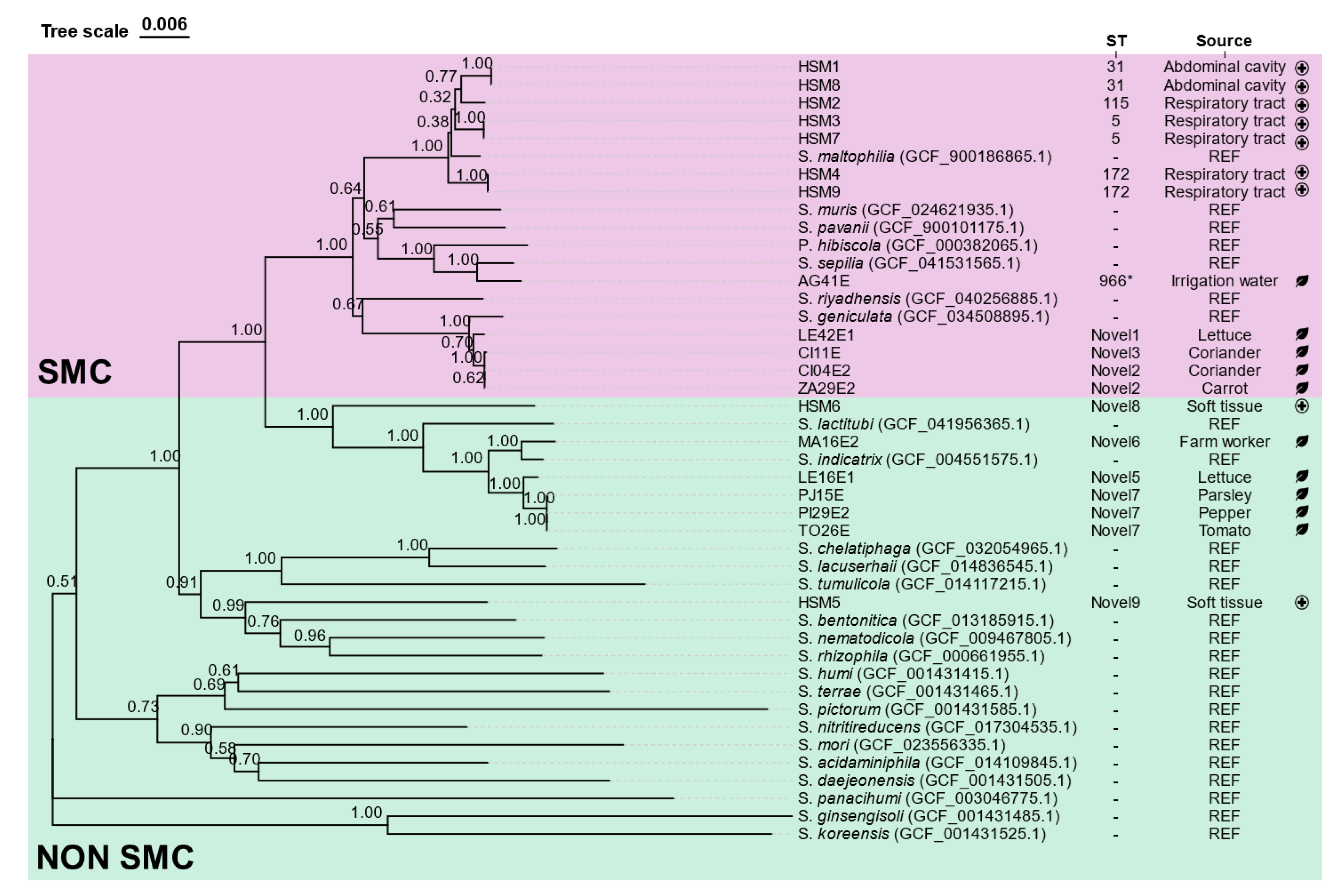 Preprints 188485 g001