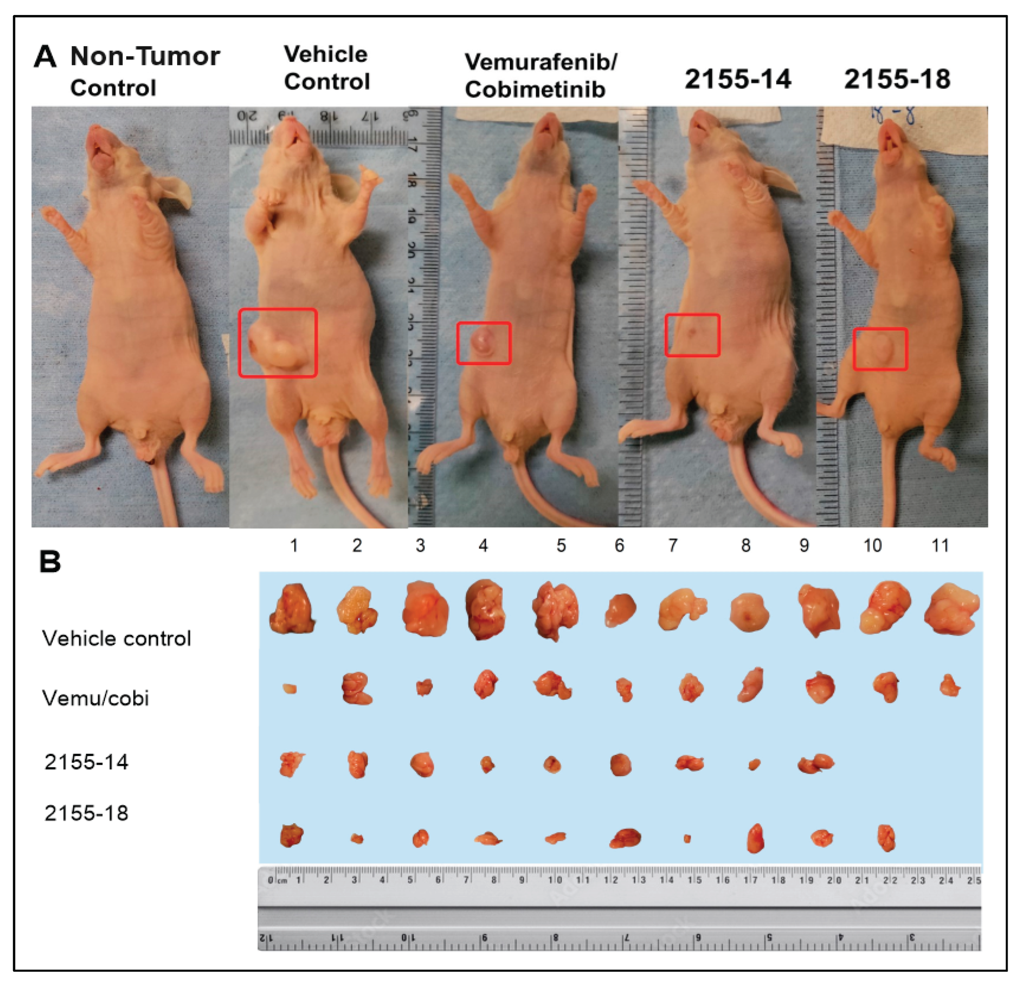Preprints 196528 g002