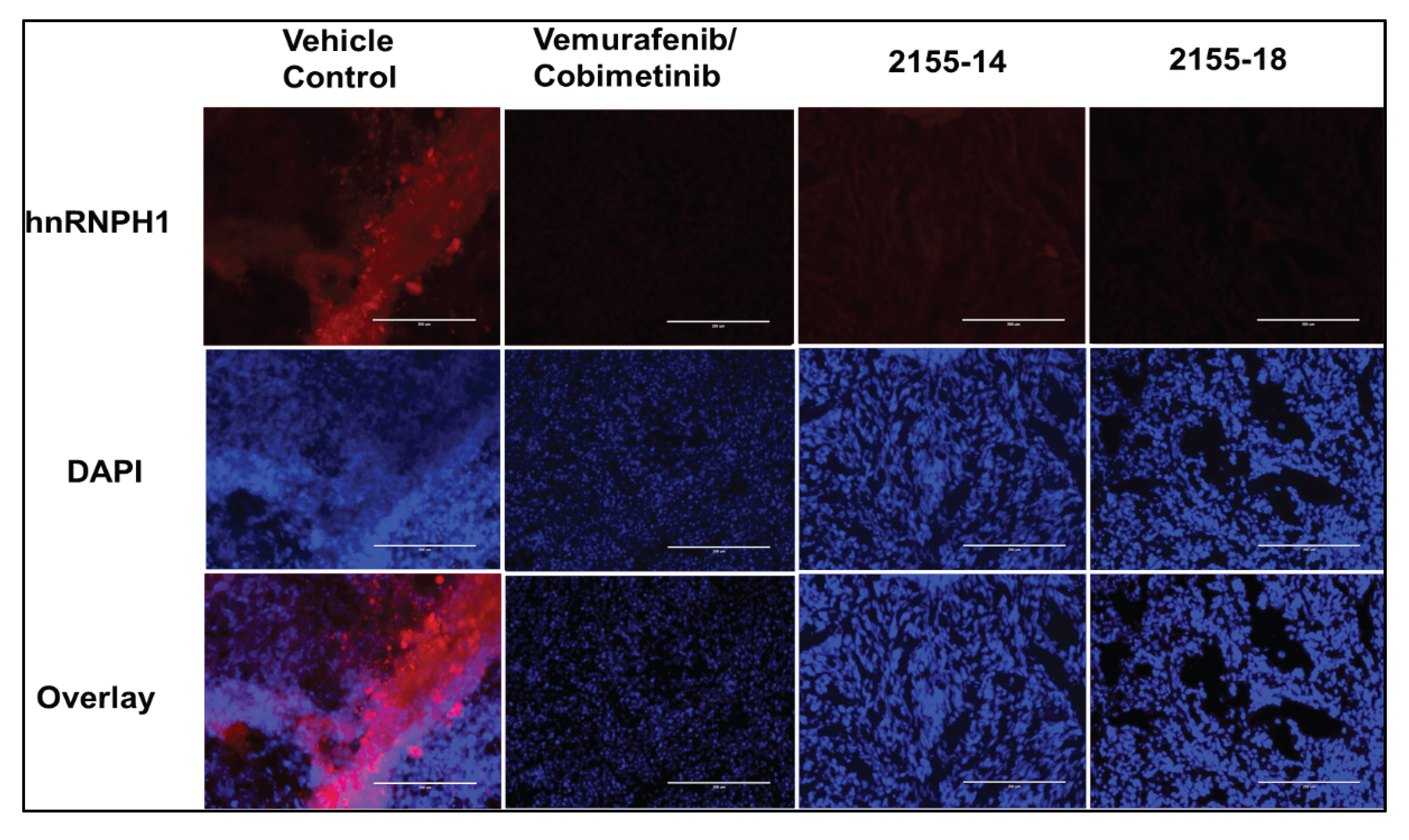 Preprints 196528 g003