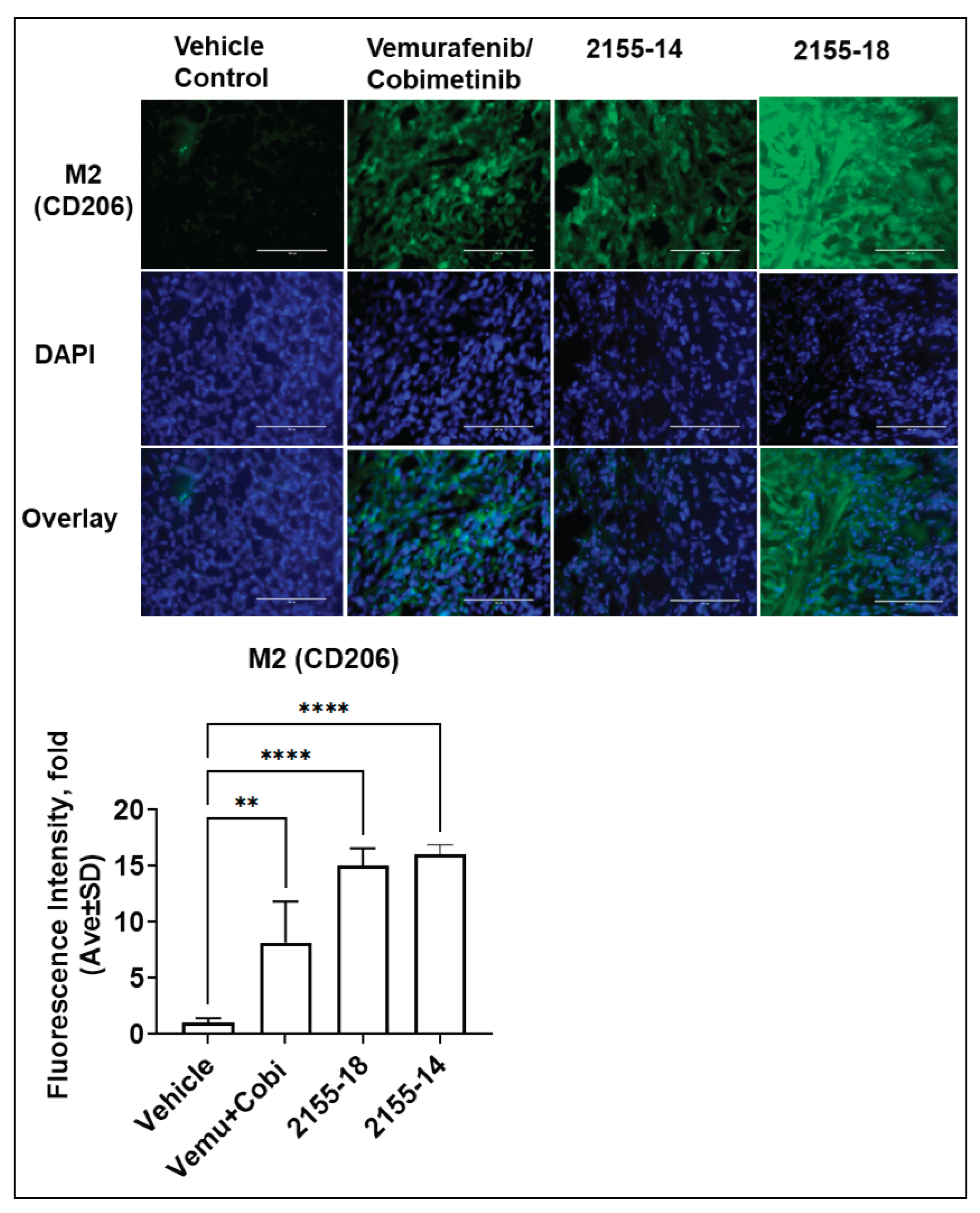 Preprints 196528 g005
