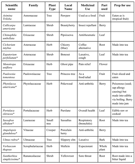 Preprints 175864 i001