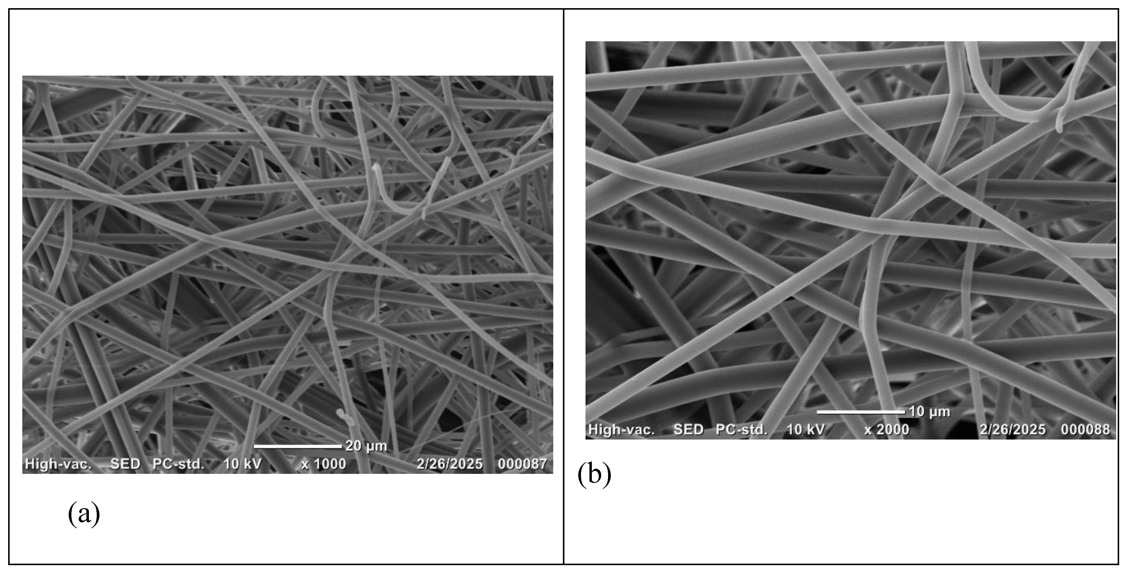 Preprints 184219 g001a