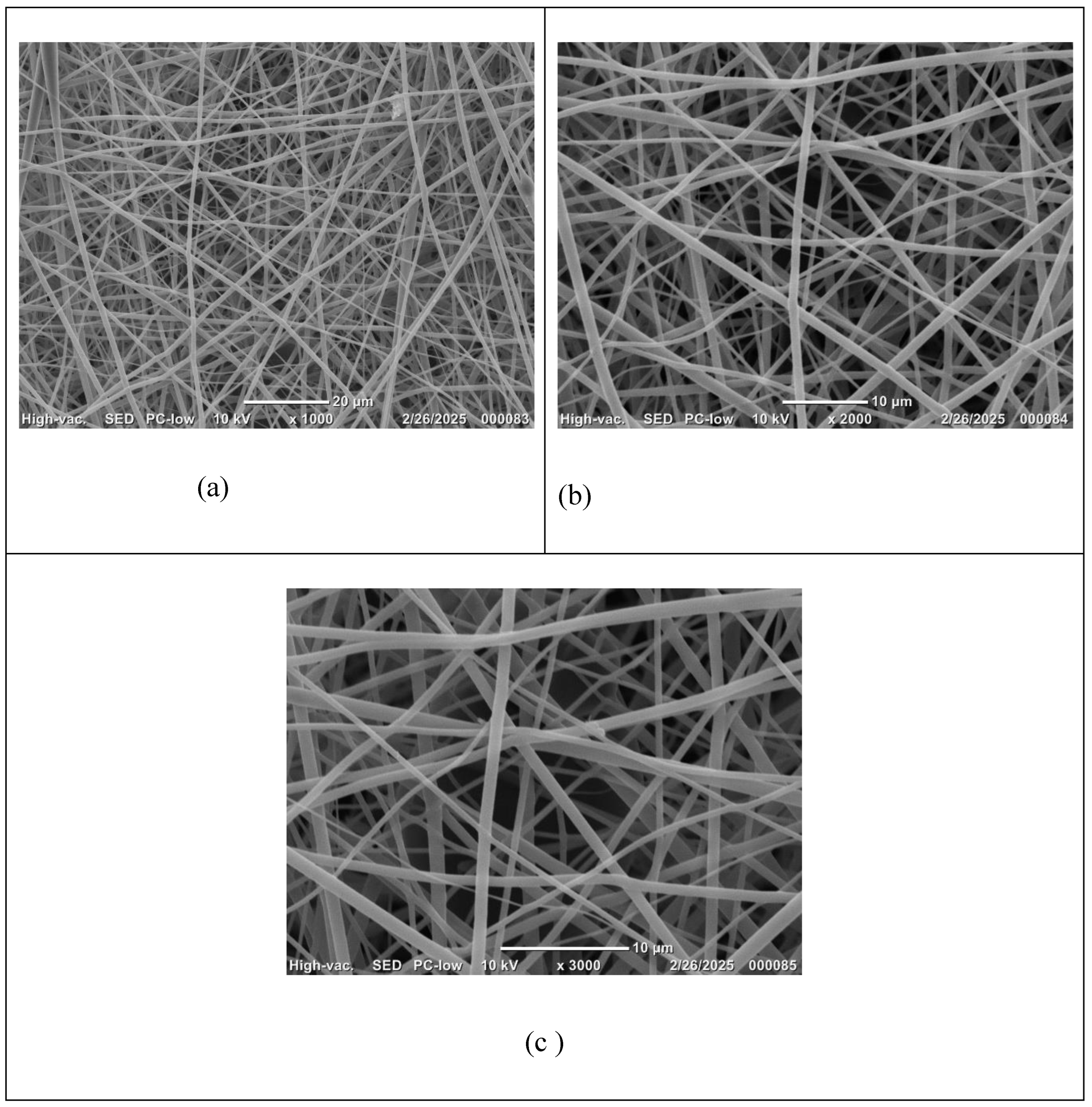 Preprints 184219 g003