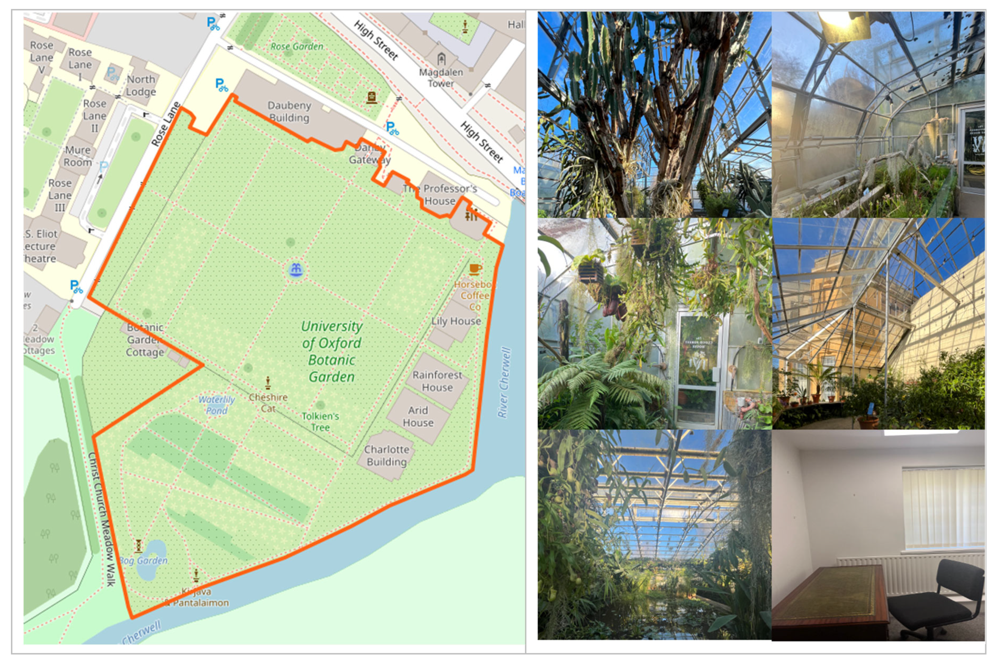 Preprints 194010 g001