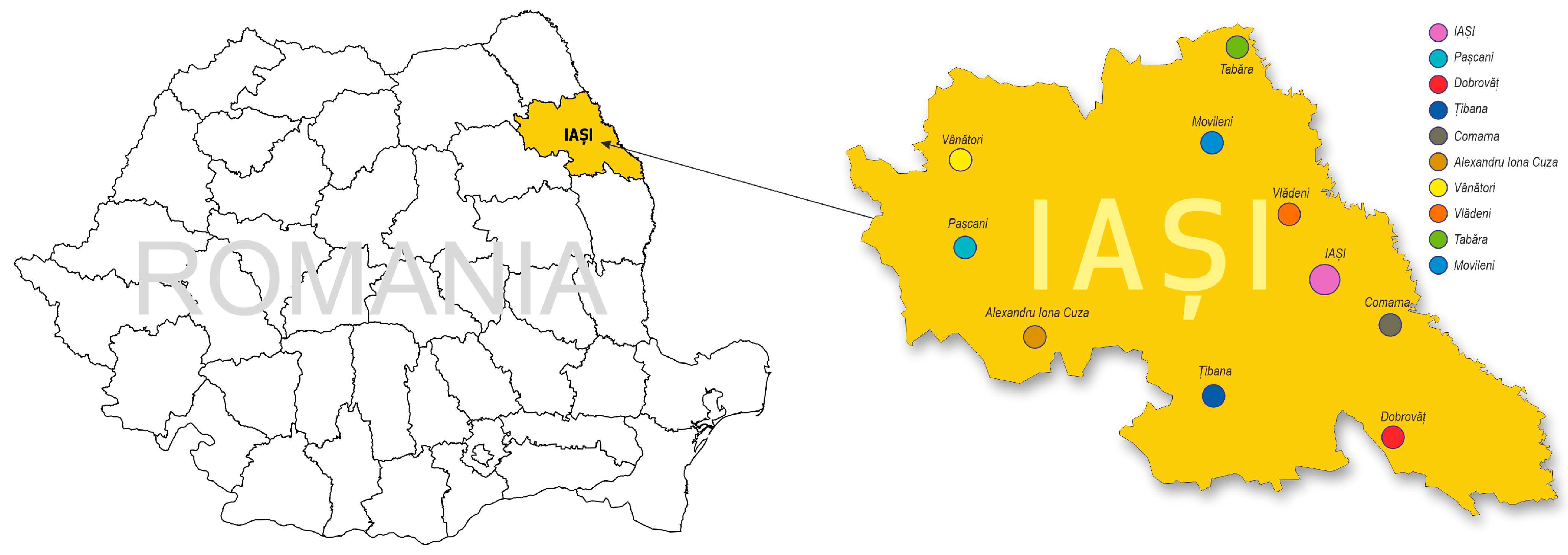 Preprints 144543 g001