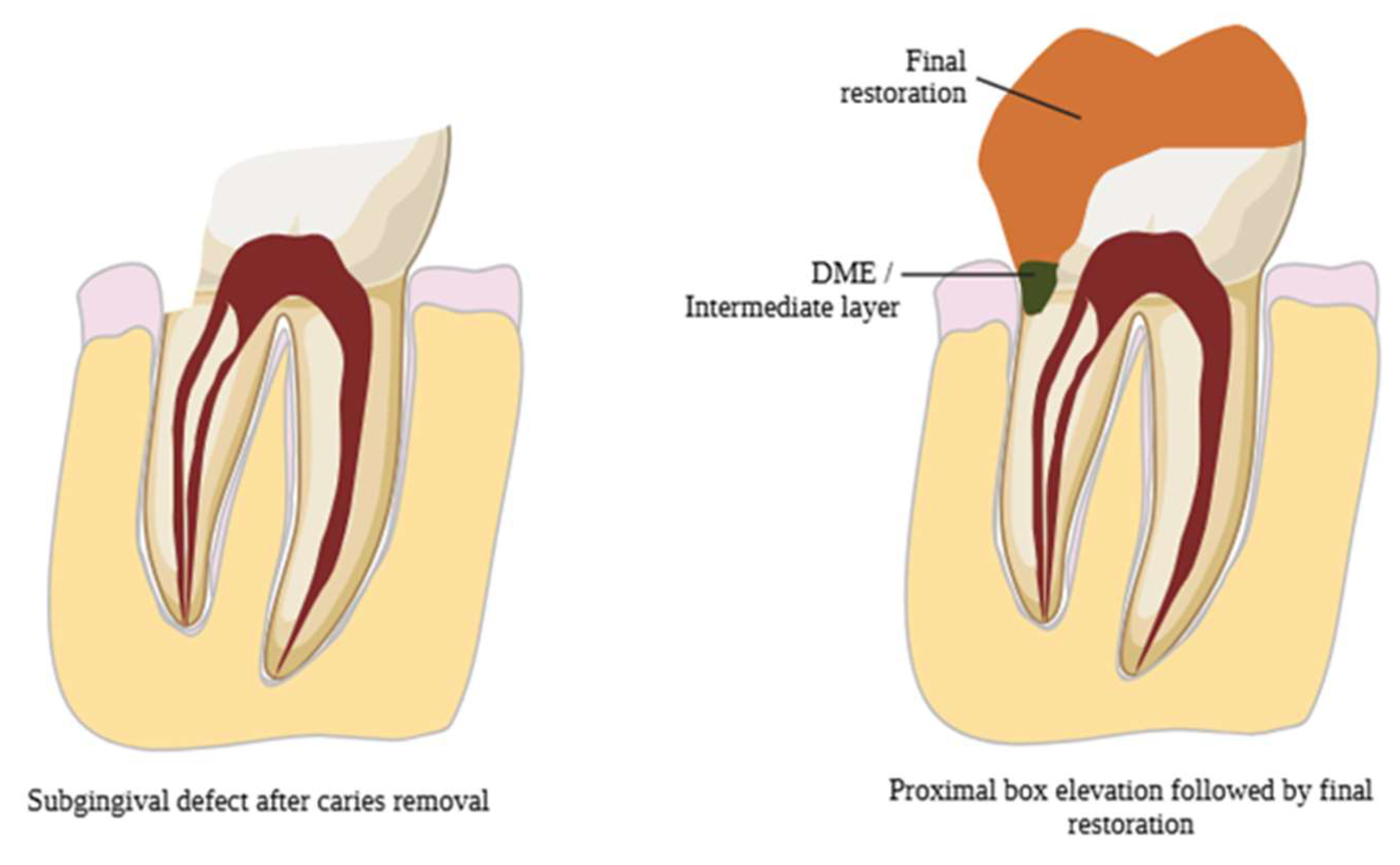 Preprints 158945 g003