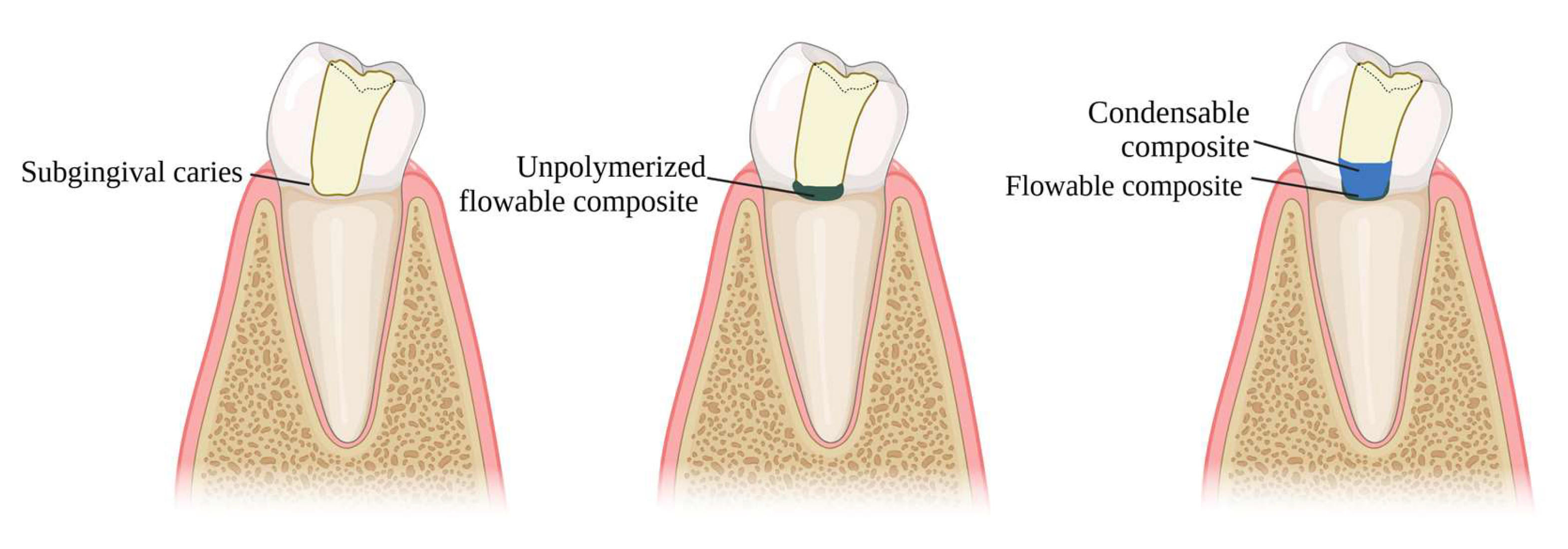 Preprints 158945 g006
