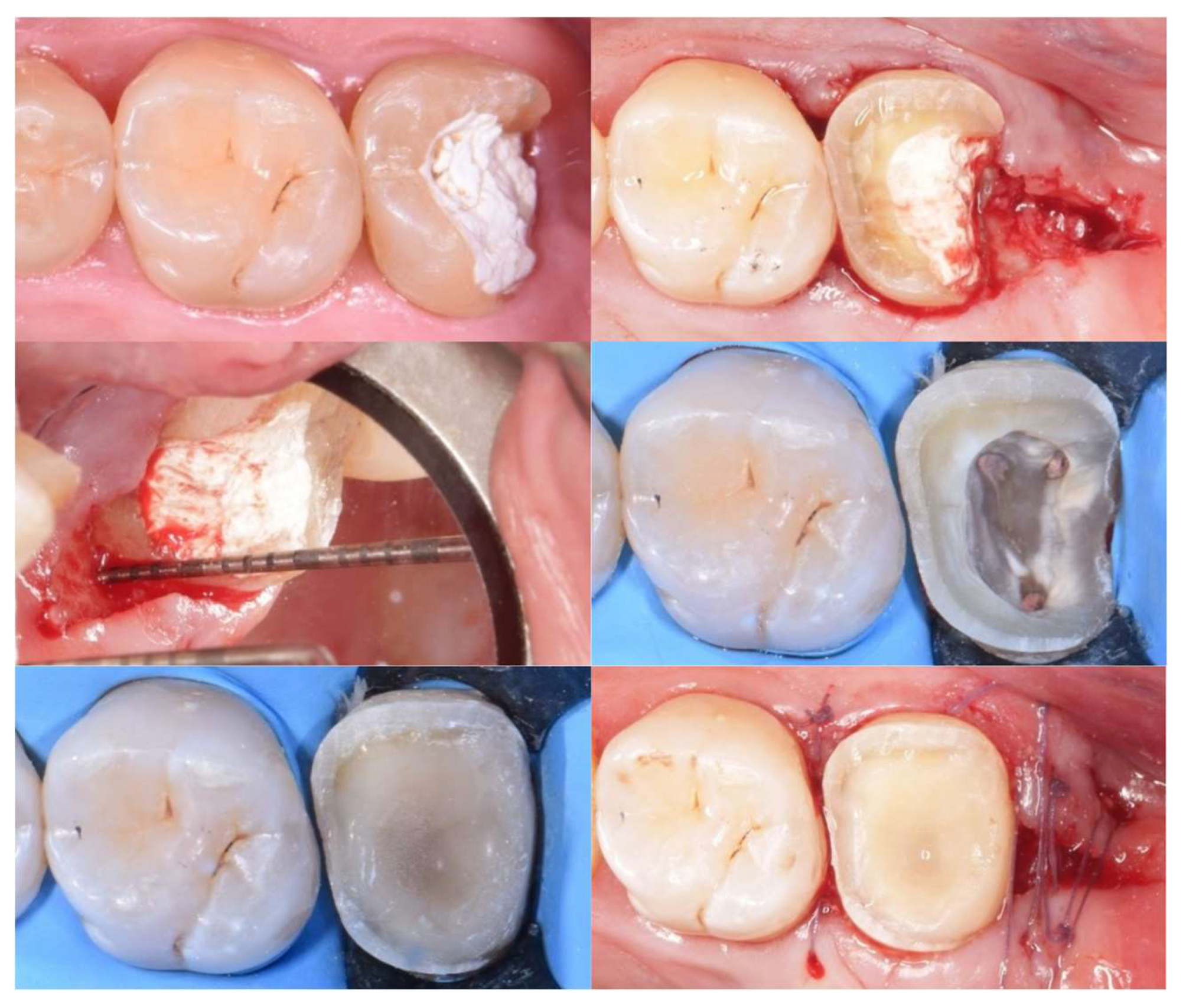 Preprints 158945 g007