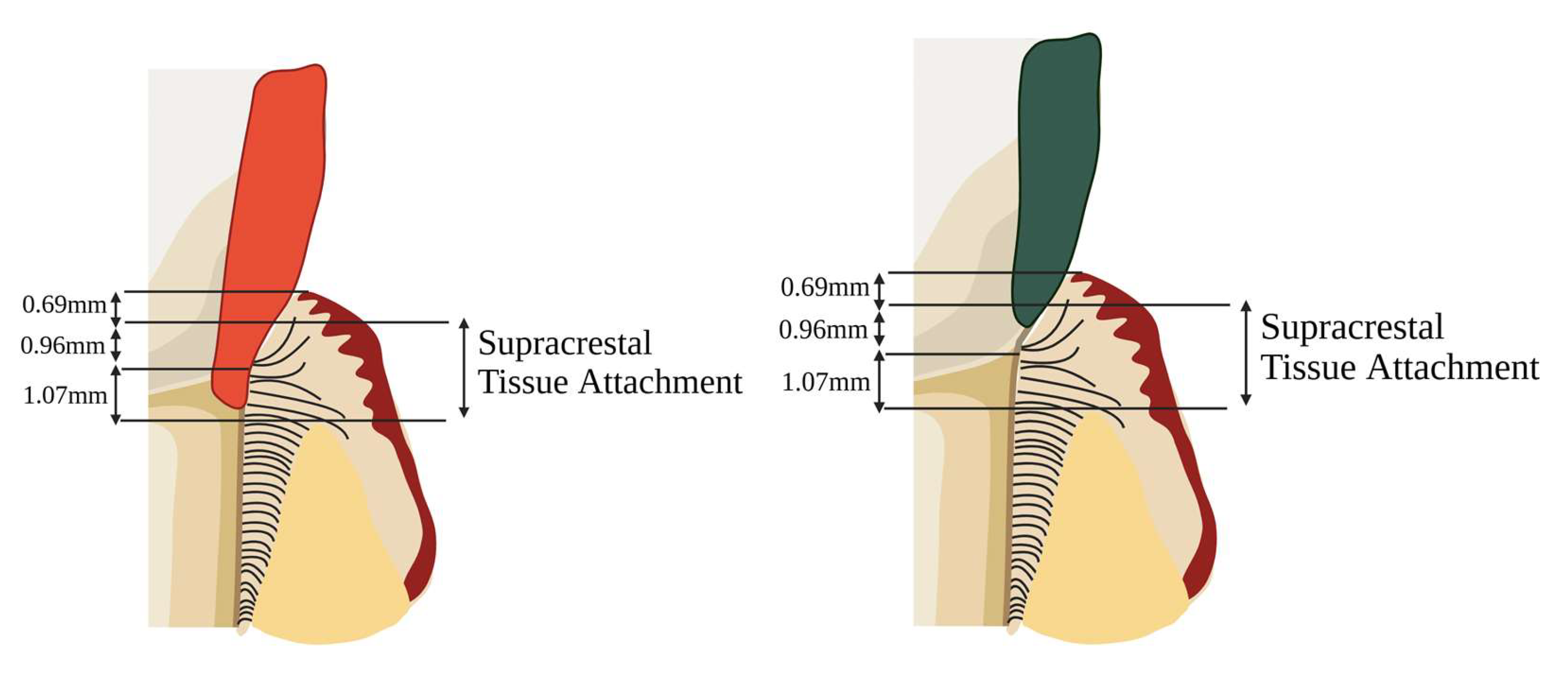 Preprints 158945 g008