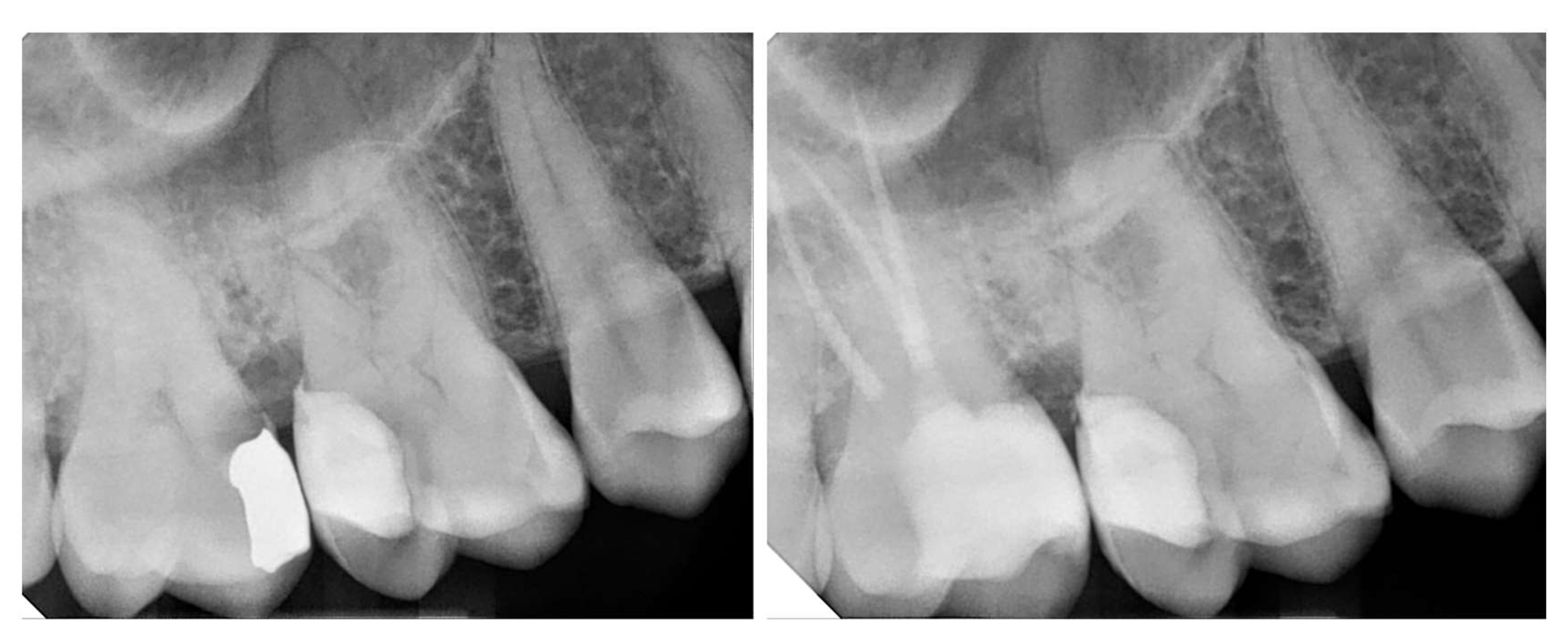 Preprints 158945 g009