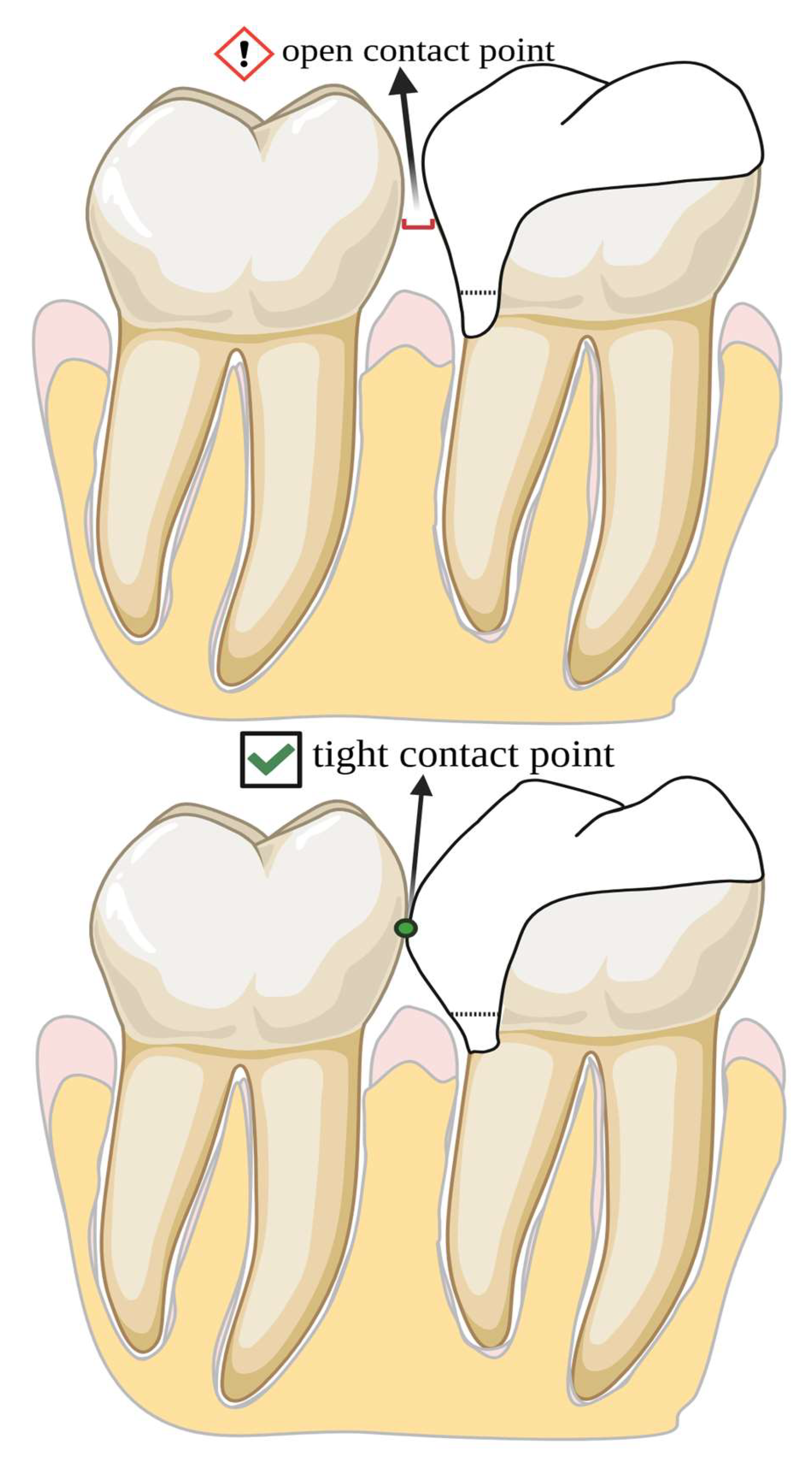 Preprints 158945 g010