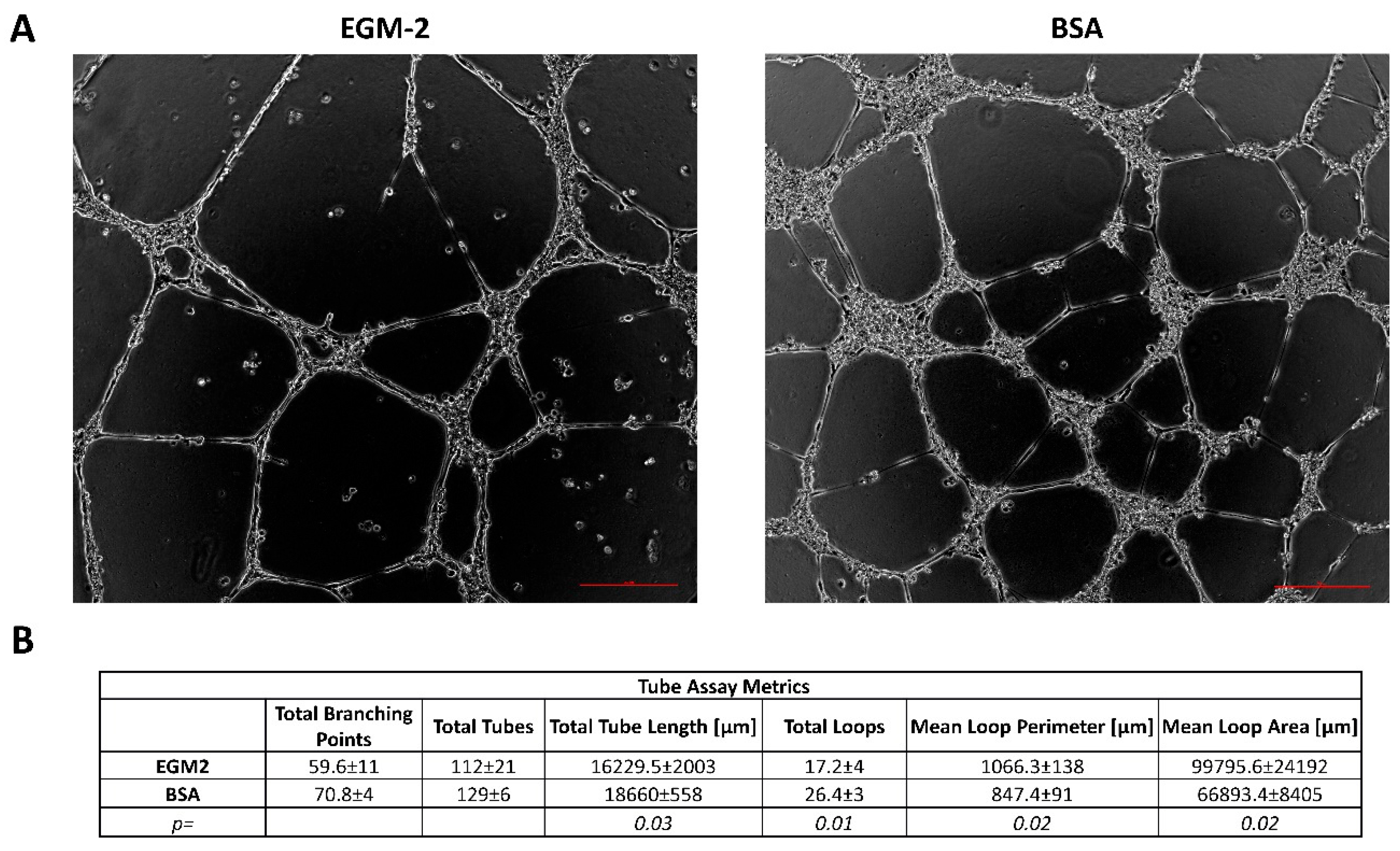 Preprints 189678 g001