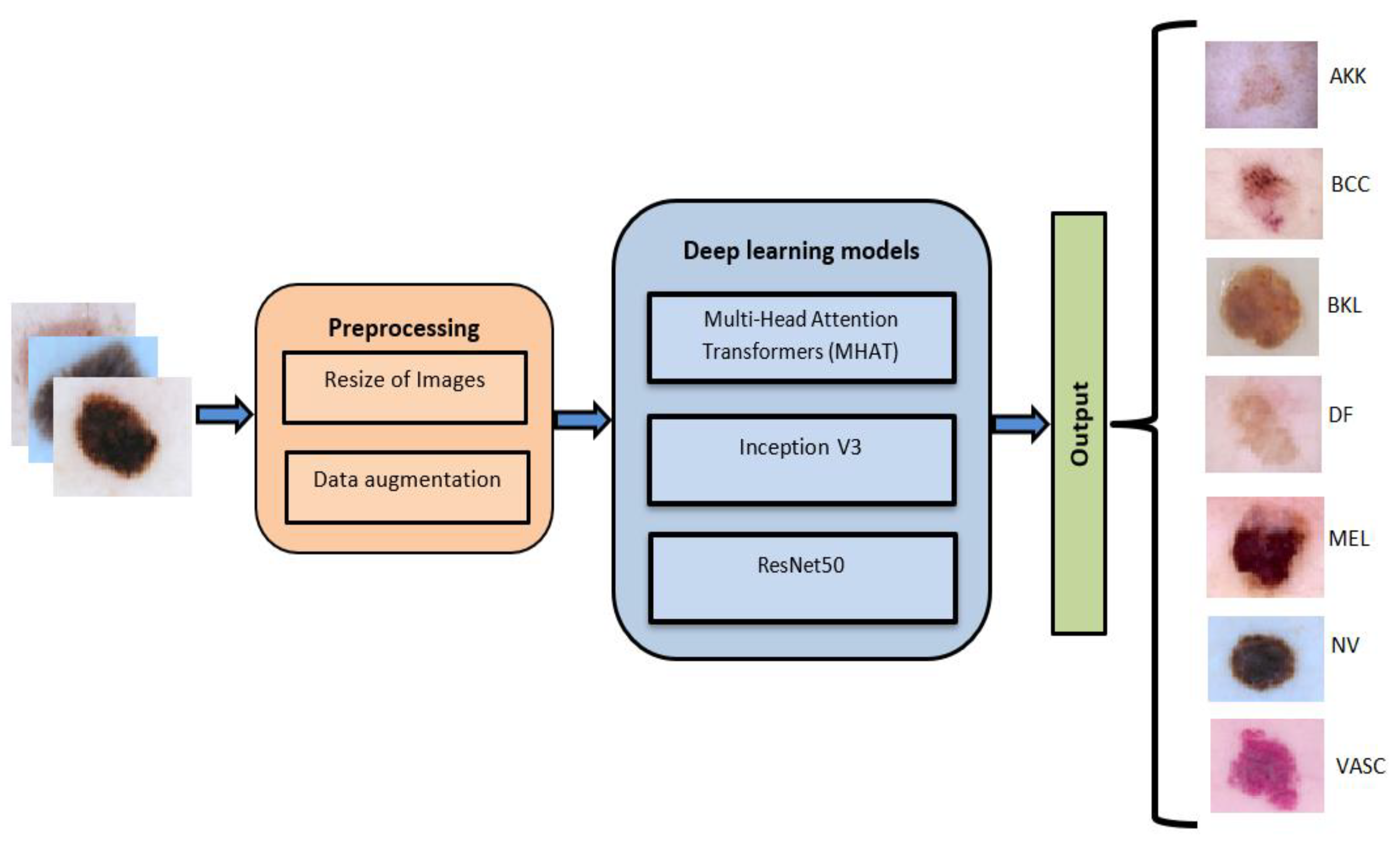 Preprints 146978 g001