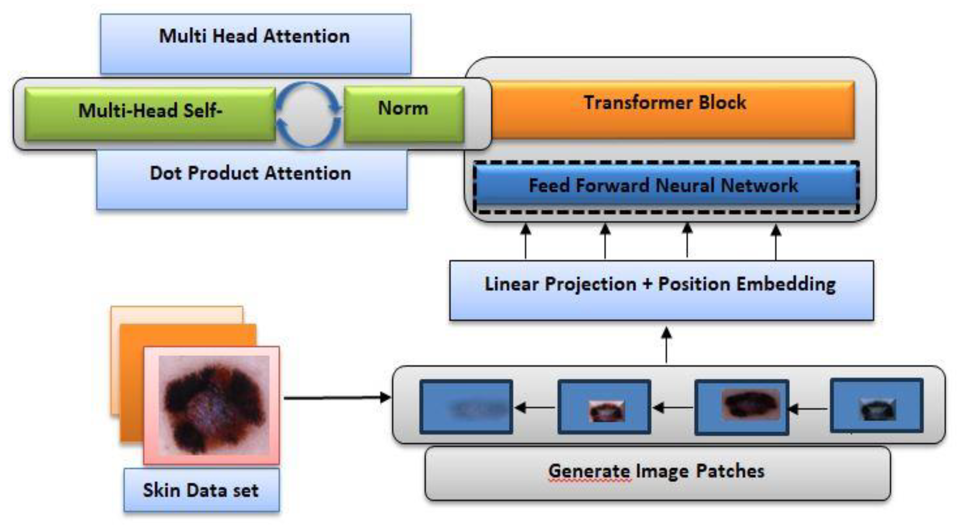 Preprints 146978 g002