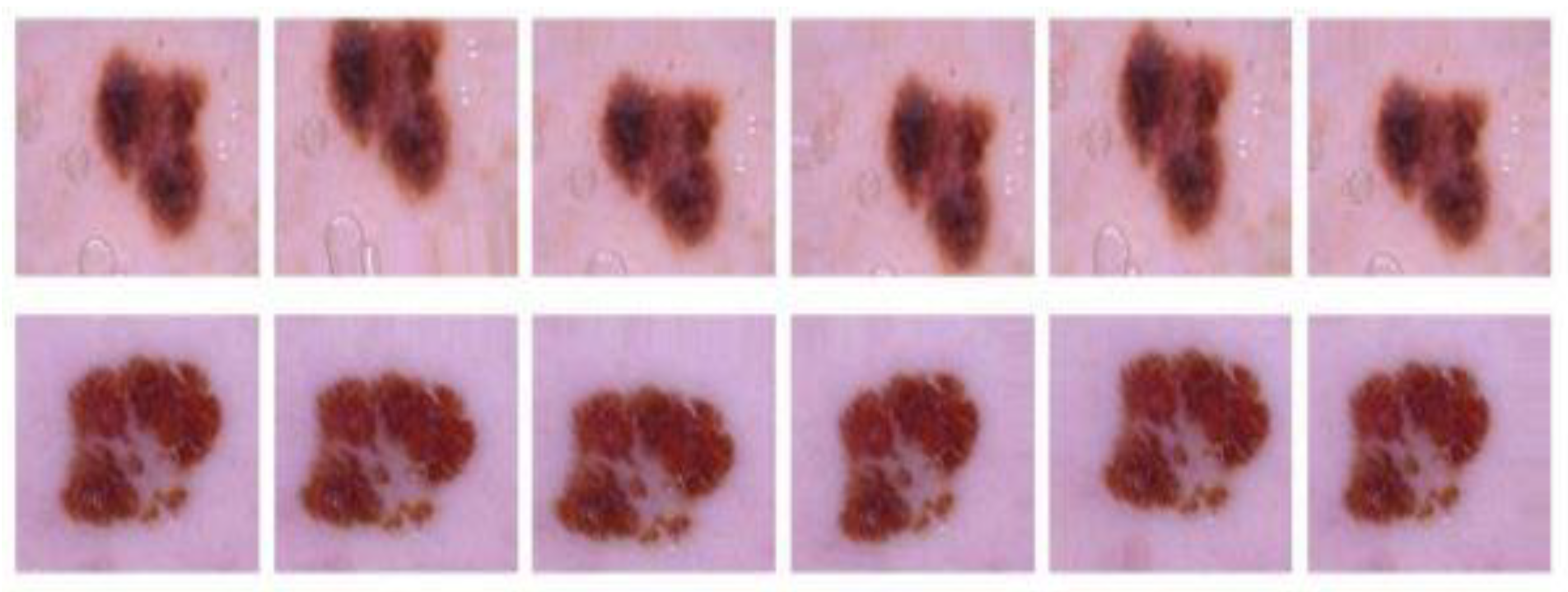 Preprints 146978 g005