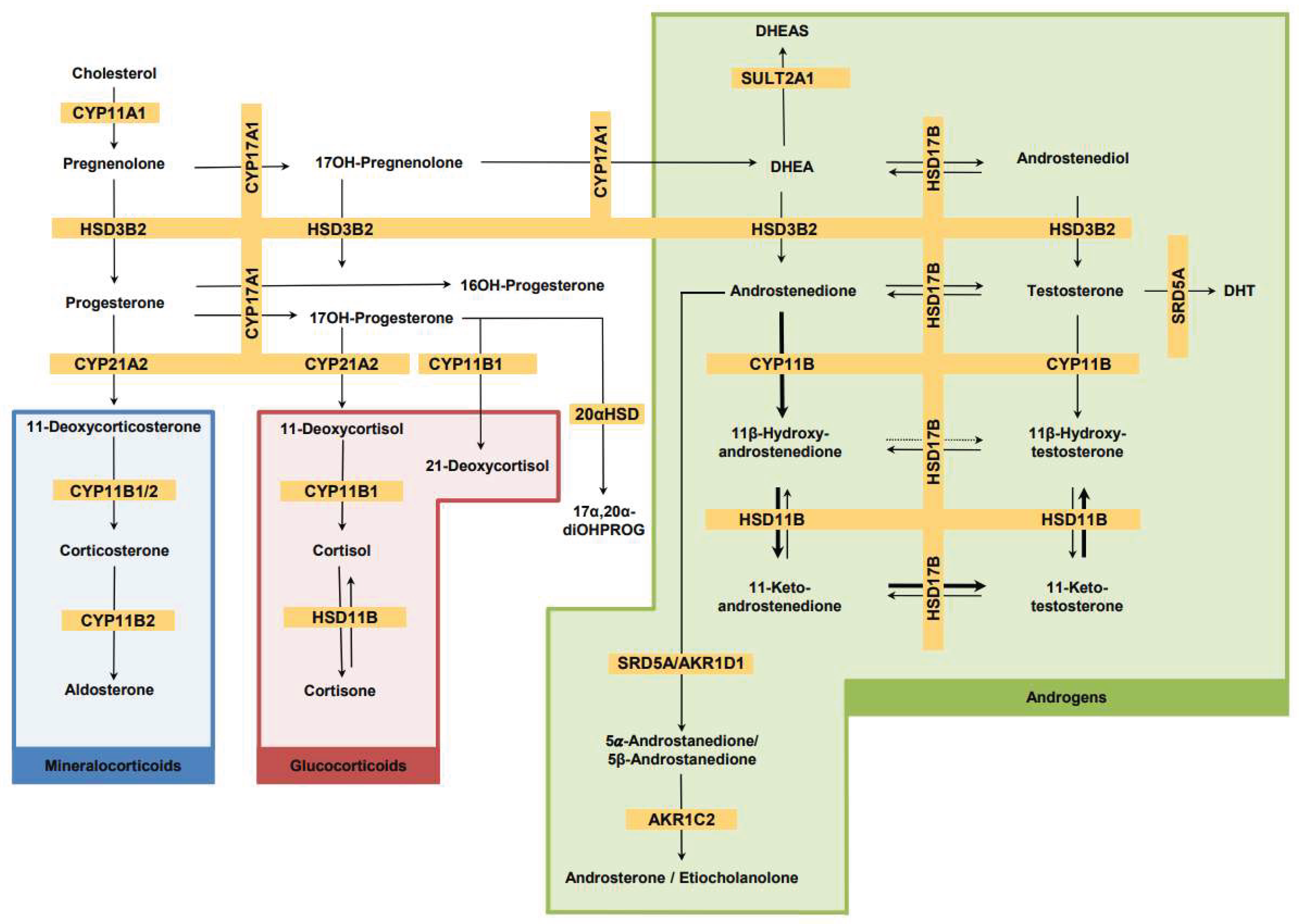 Preprints 175435 g003