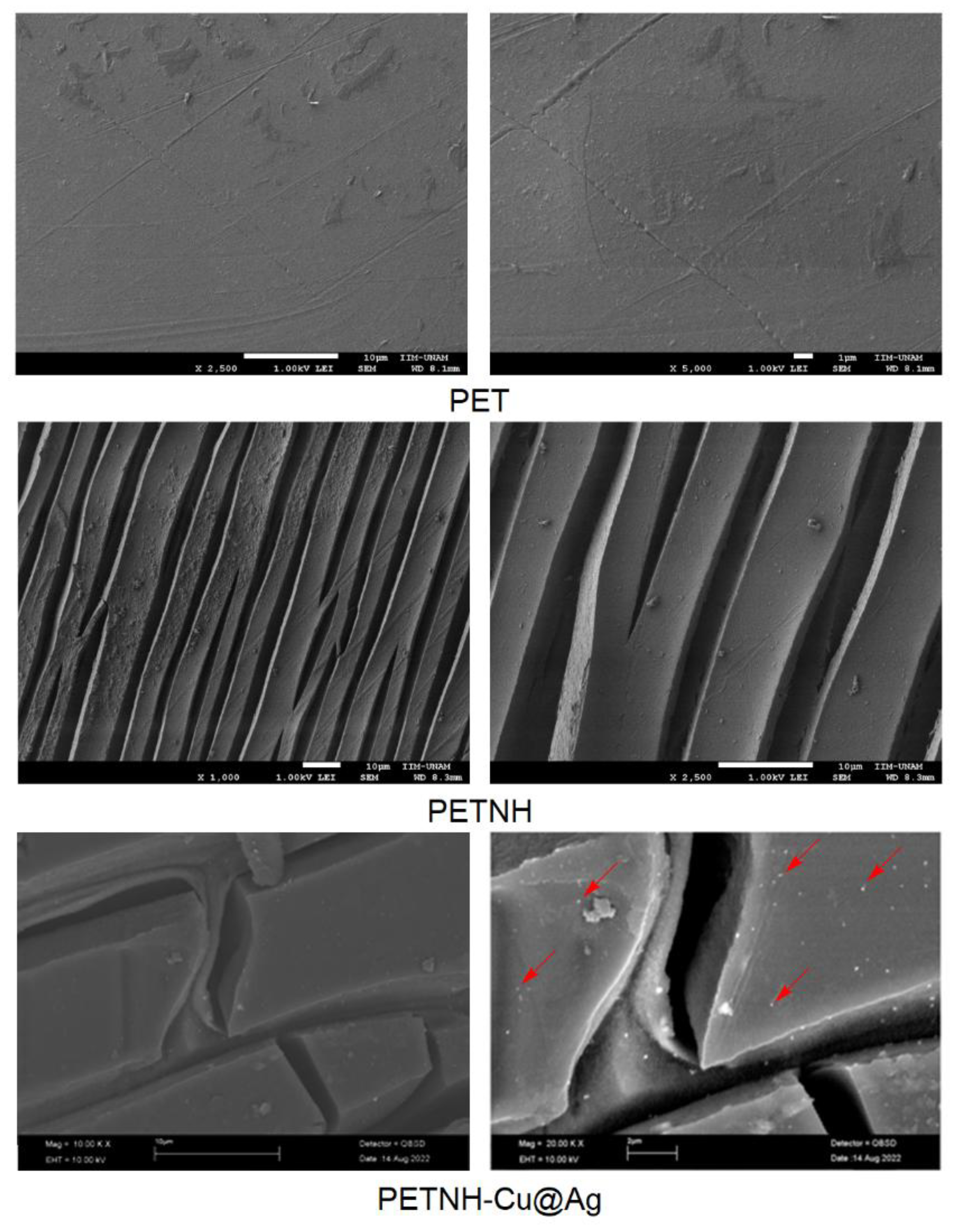 Preprints 191268 g004
