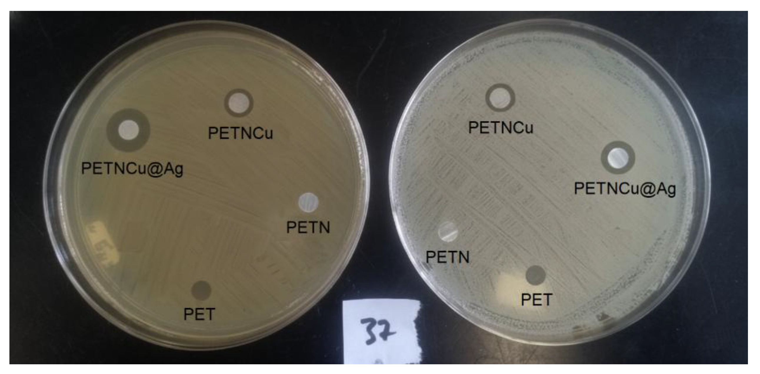 Preprints 191268 g007