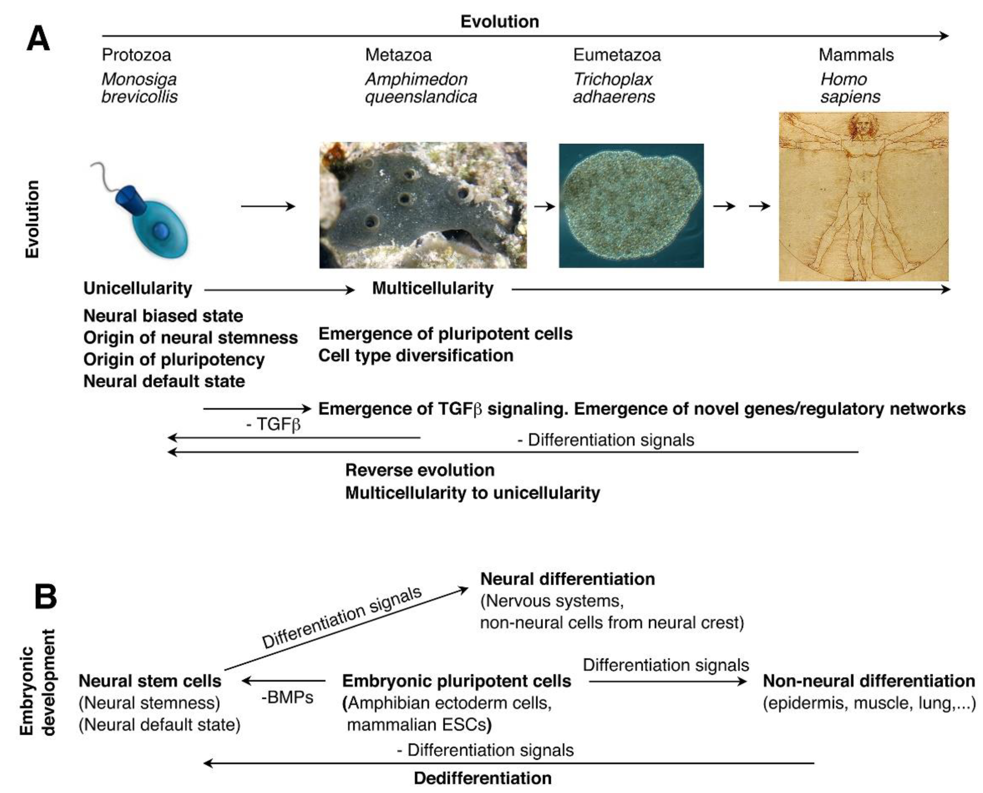 Preprints 171915 g001