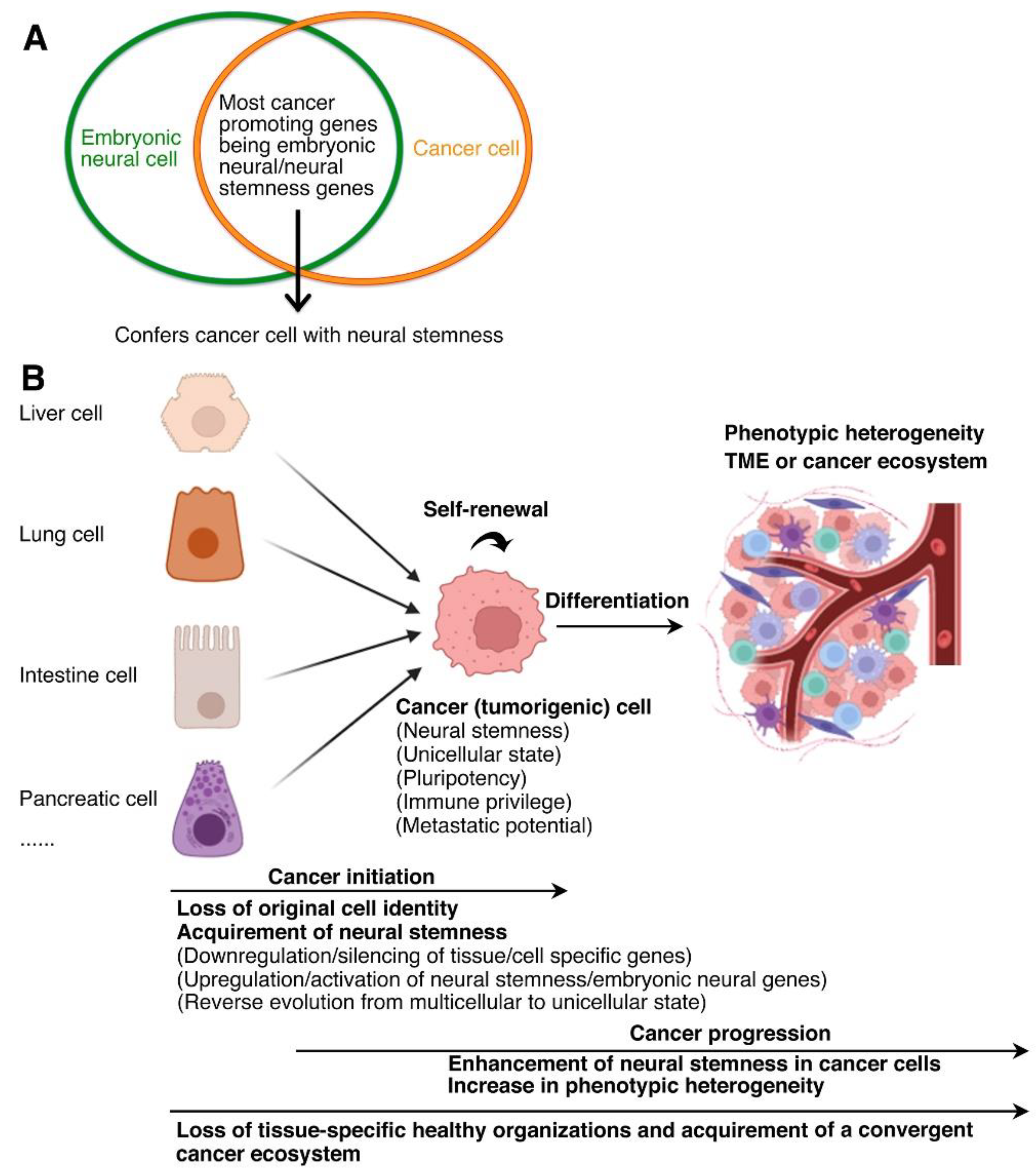 Preprints 171915 g002