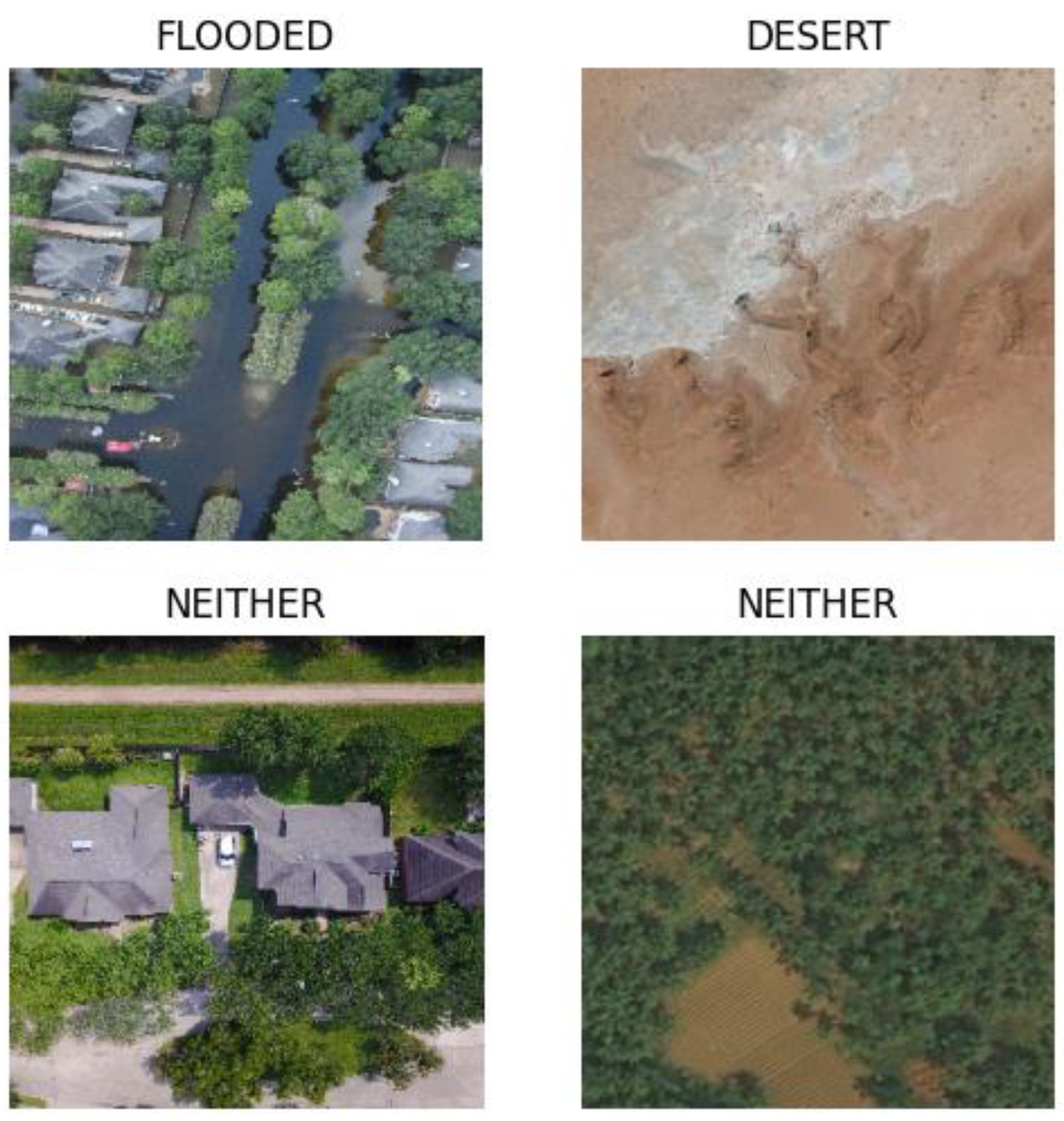 Preprints 145022 g001