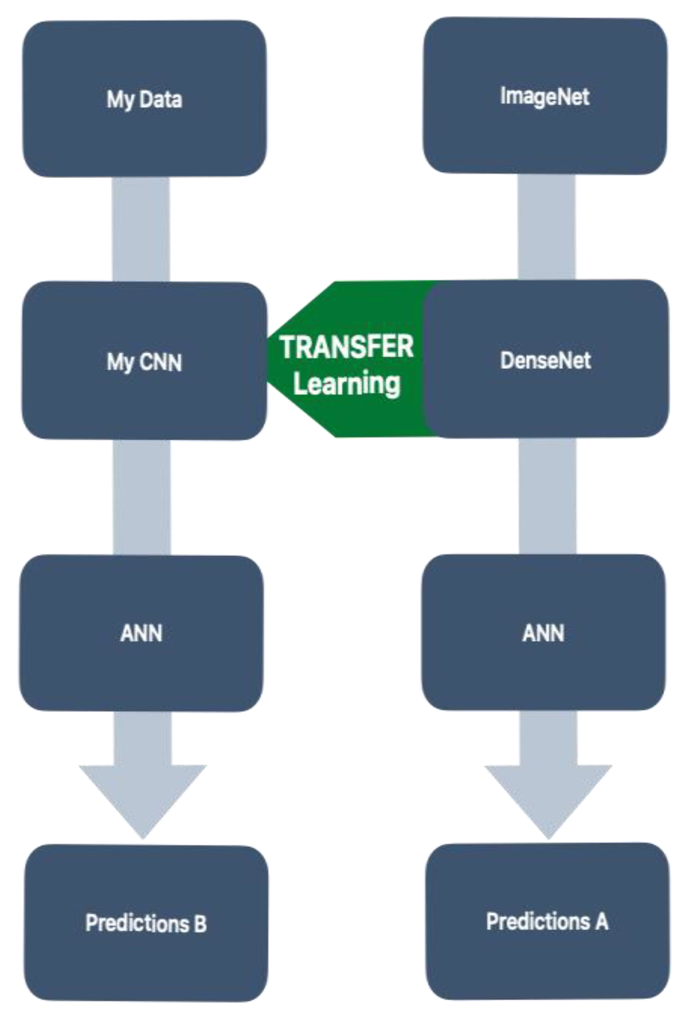 Preprints 145022 g002