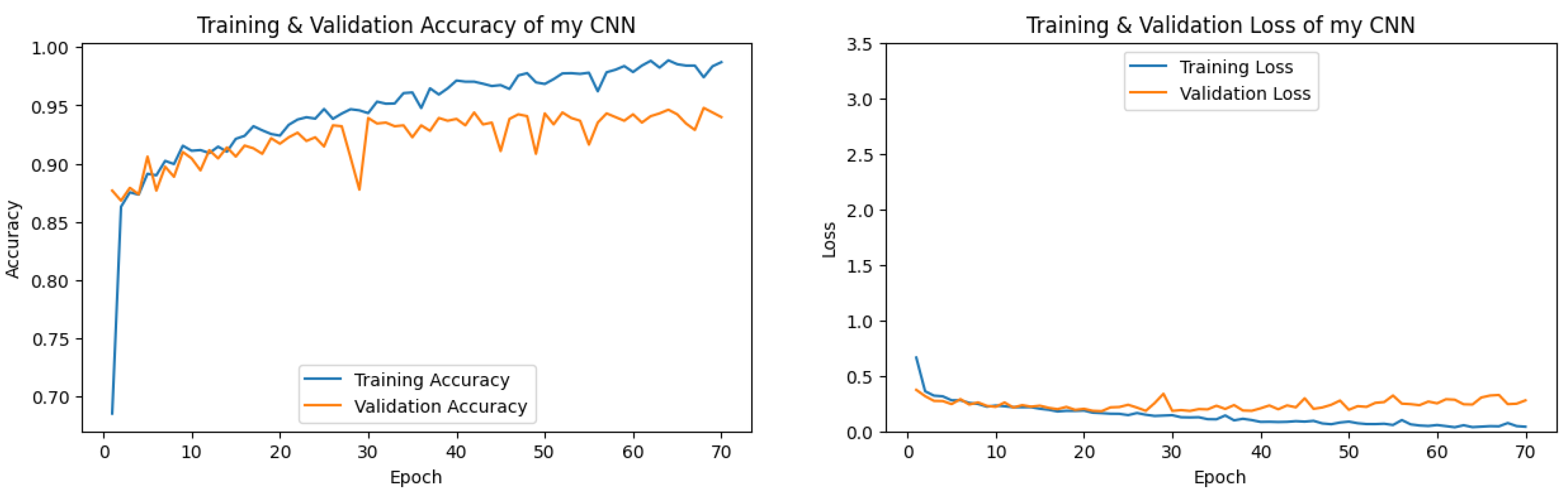 Preprints 145022 g007