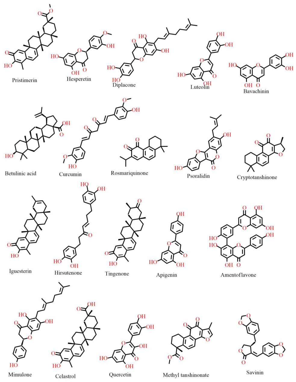 Preprints 216951 g001