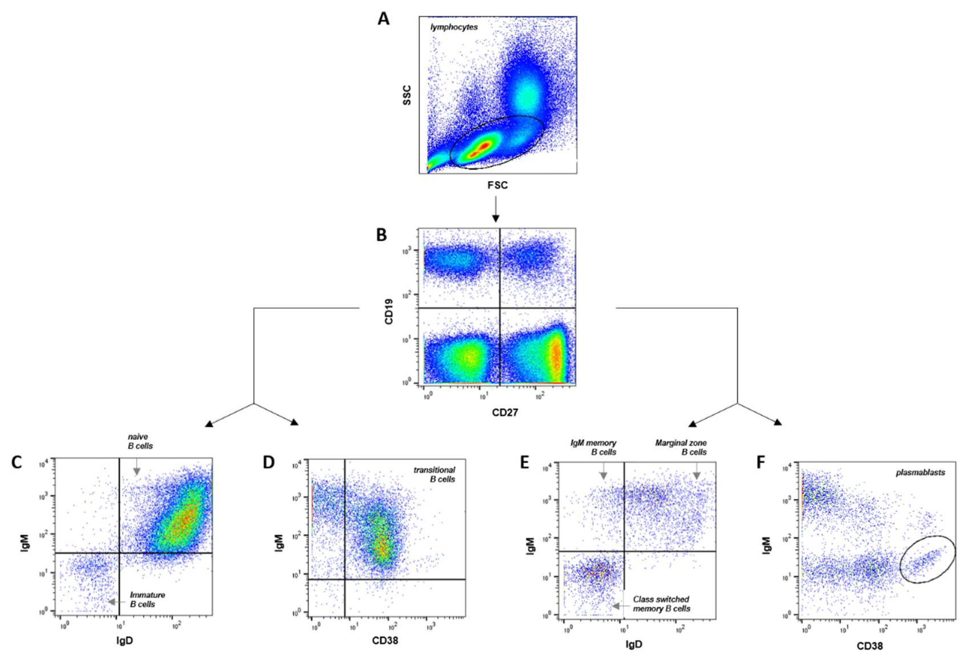 Preprints 153710 g001