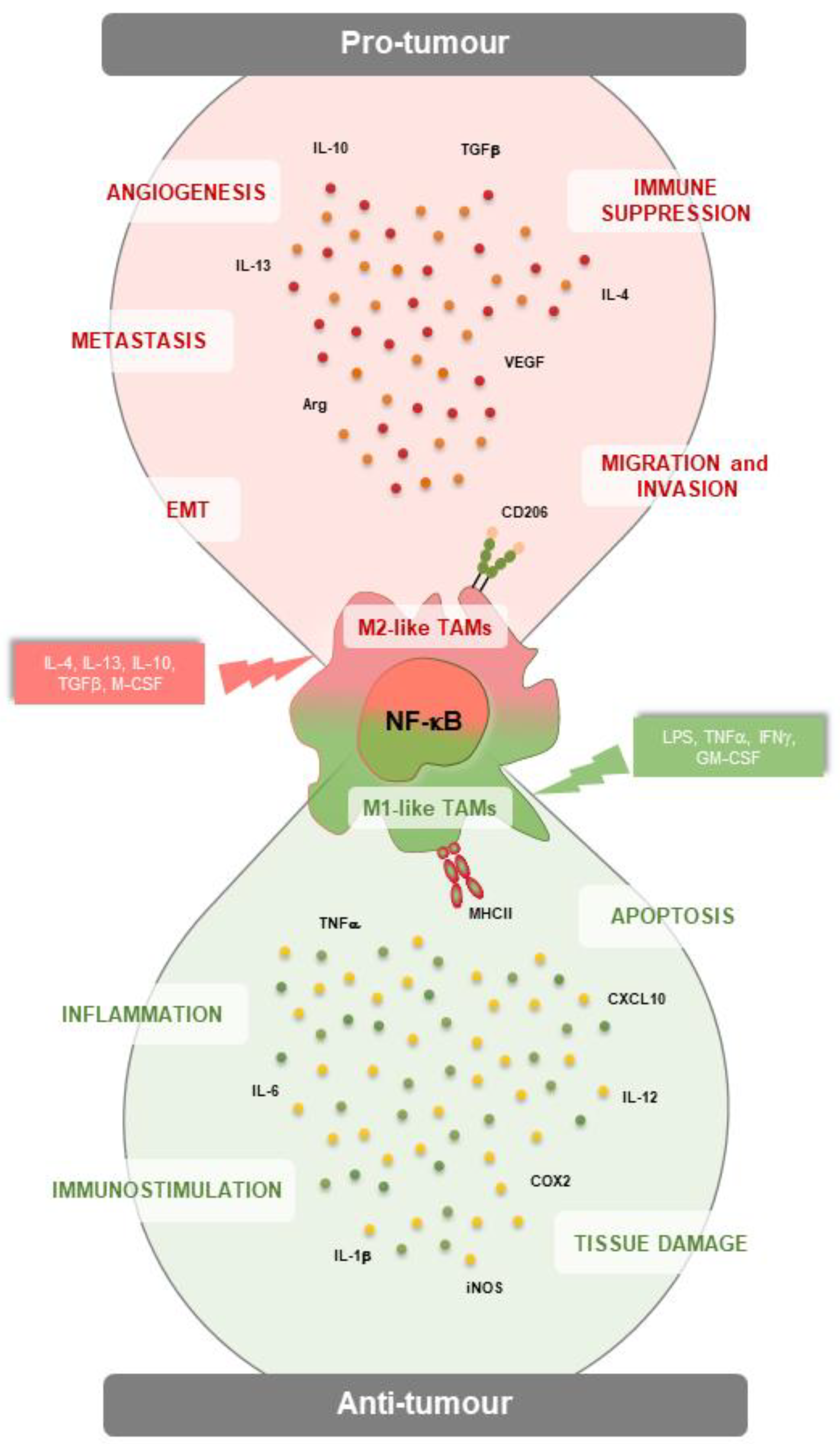 Preprints 96657 g001
