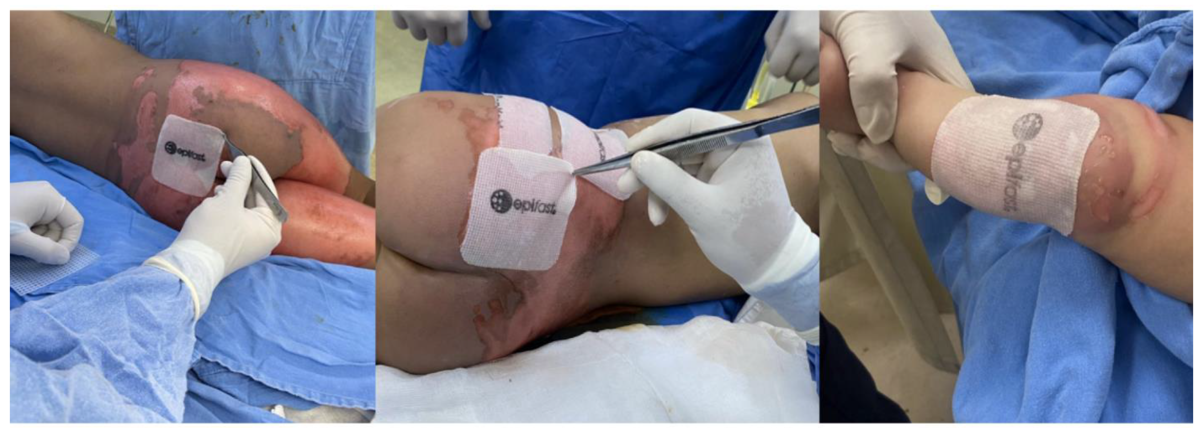 Preprints 111973 g001