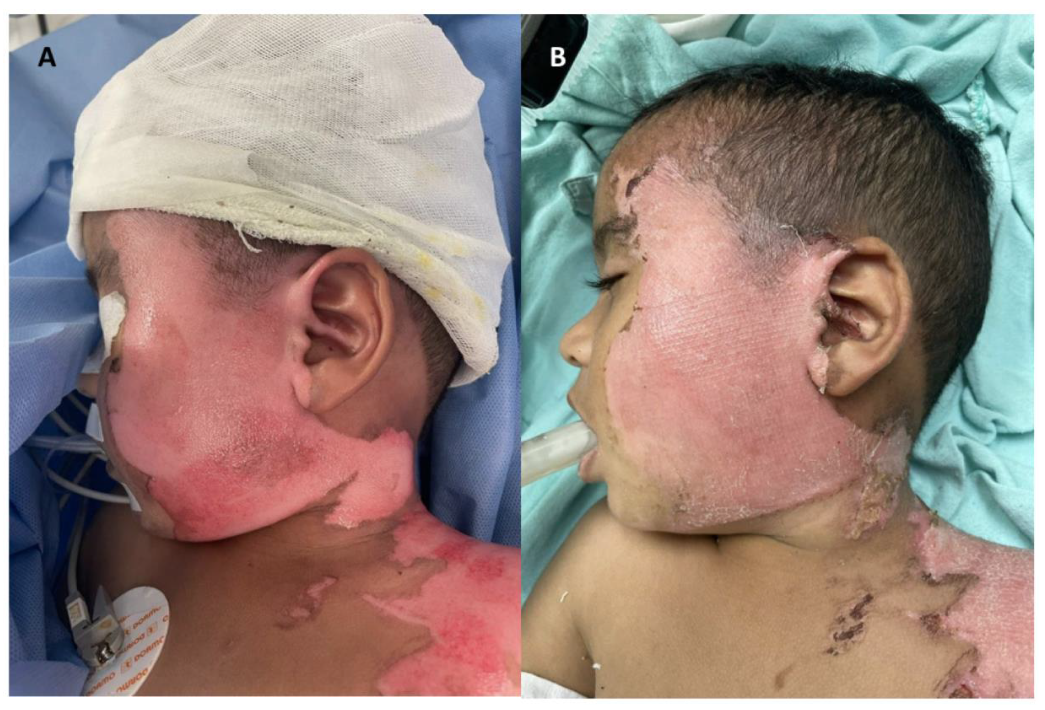 Preprints 111973 g002